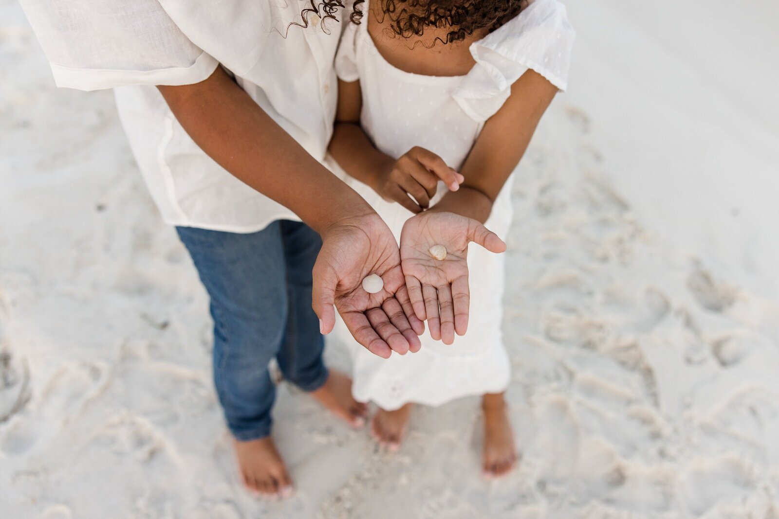 Seashells found on Pensacola Beach by brother and sister during family photo session.