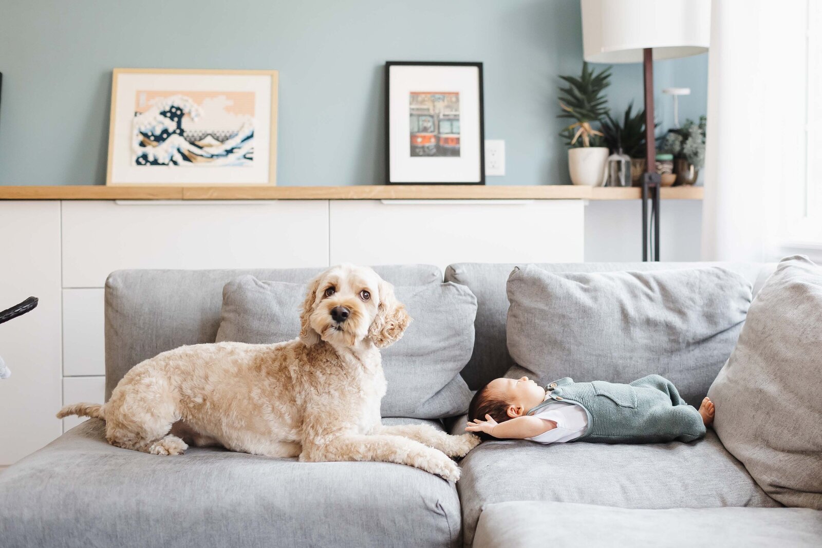 Dog sibling laying on couch with newborn baby boy during their in home newborn photo session