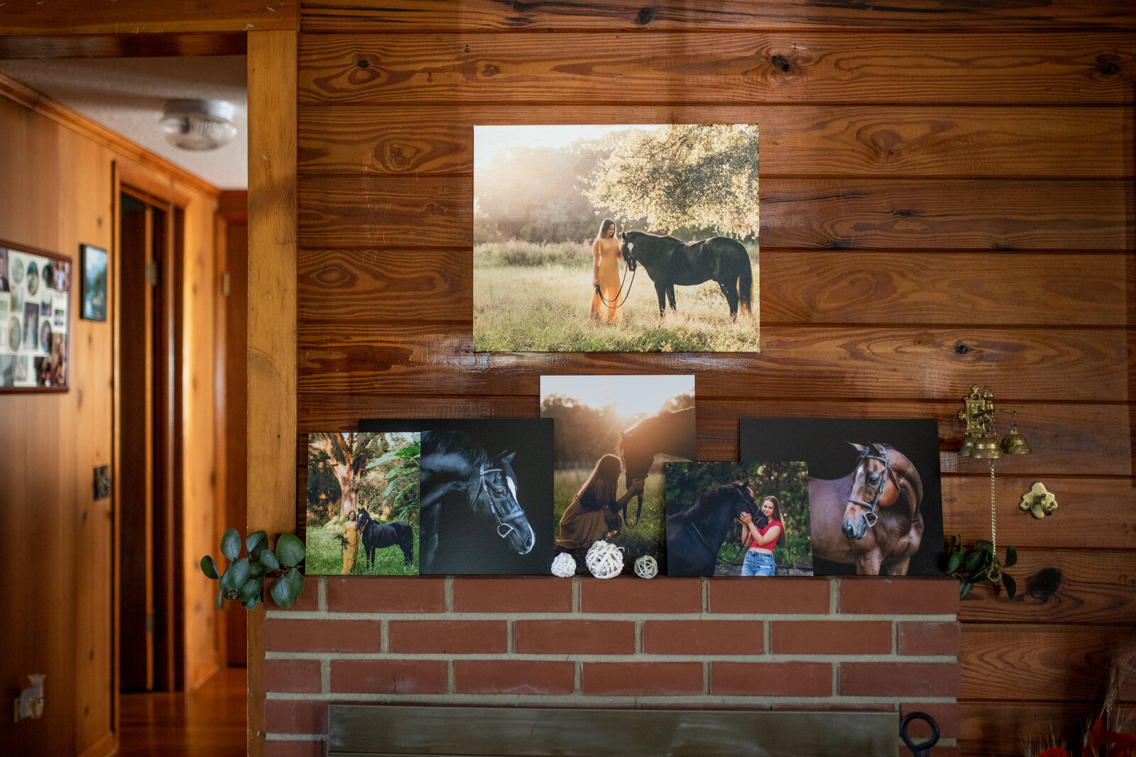 Professionally printed canvas and prints to hang in your home of your horse portrait session