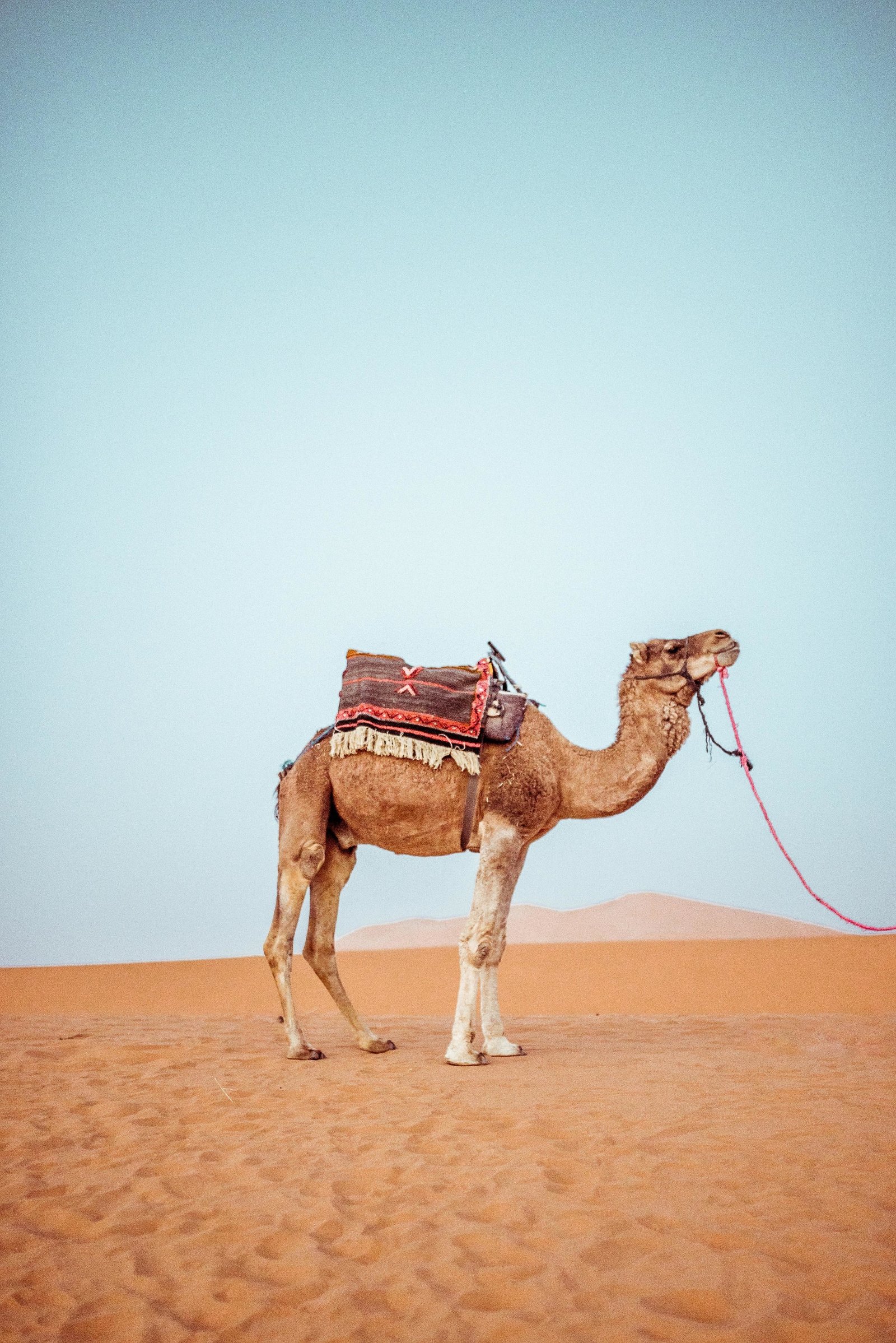 Morocco-68