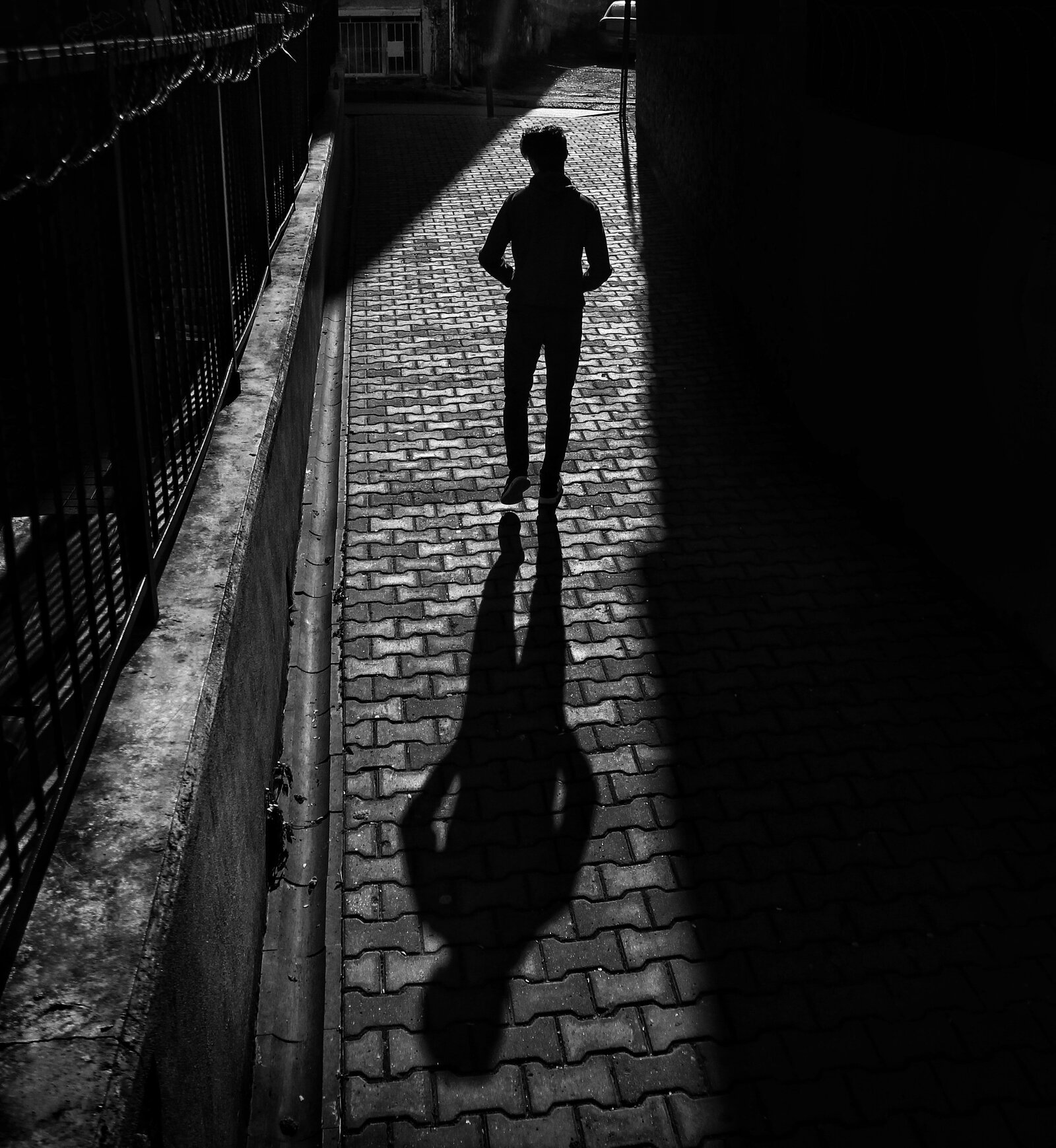 pexels-berke-araklı-8121309
