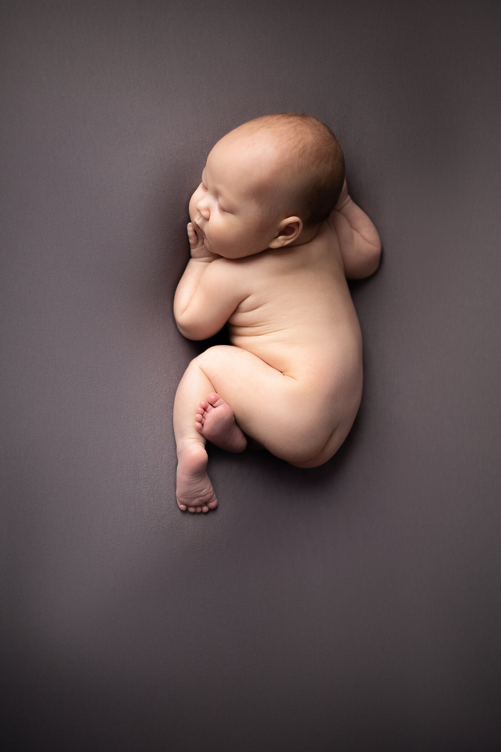 Collingwood Newborn Photographer - Katie Lintern (4)