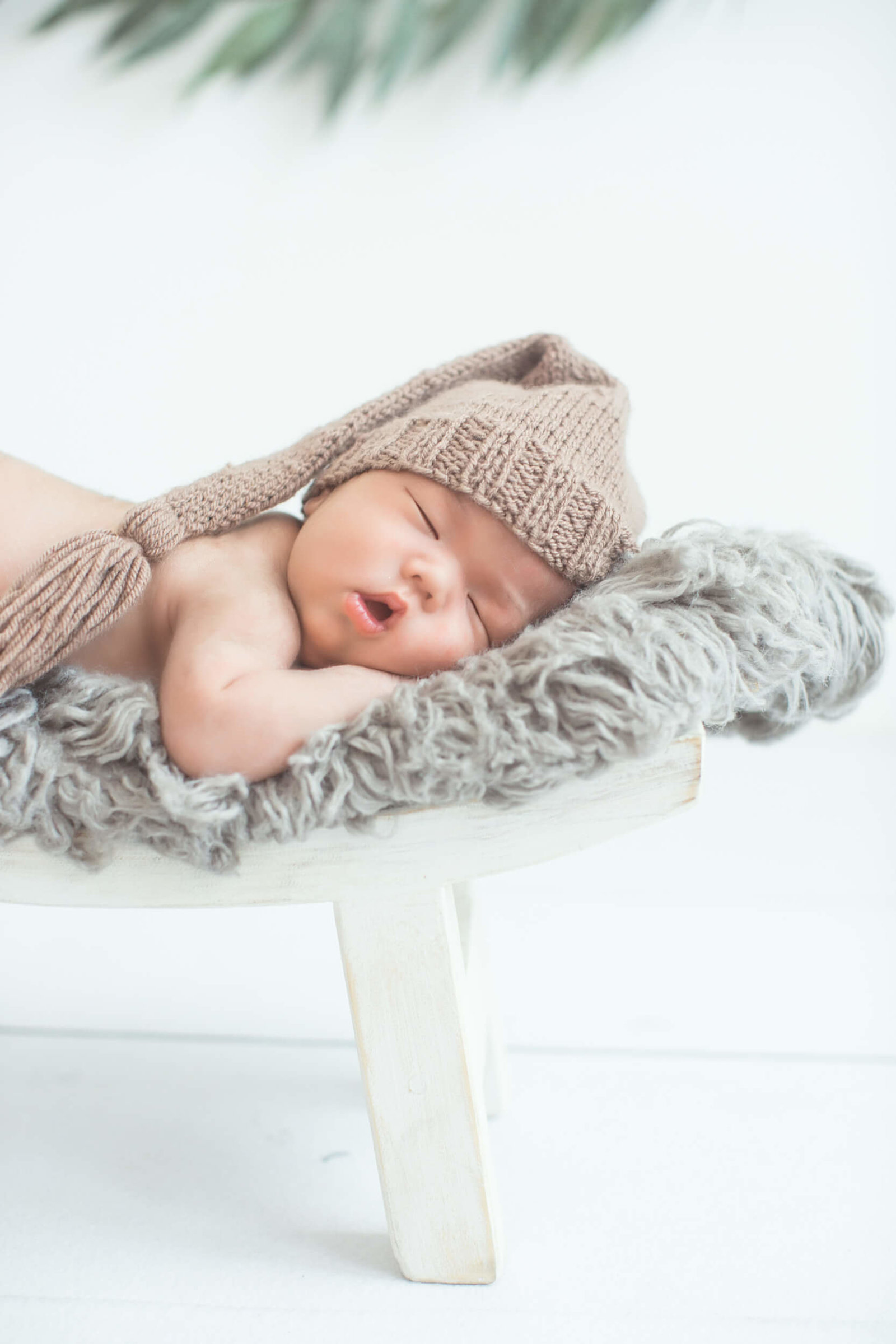 newborn photo sessions gilbert