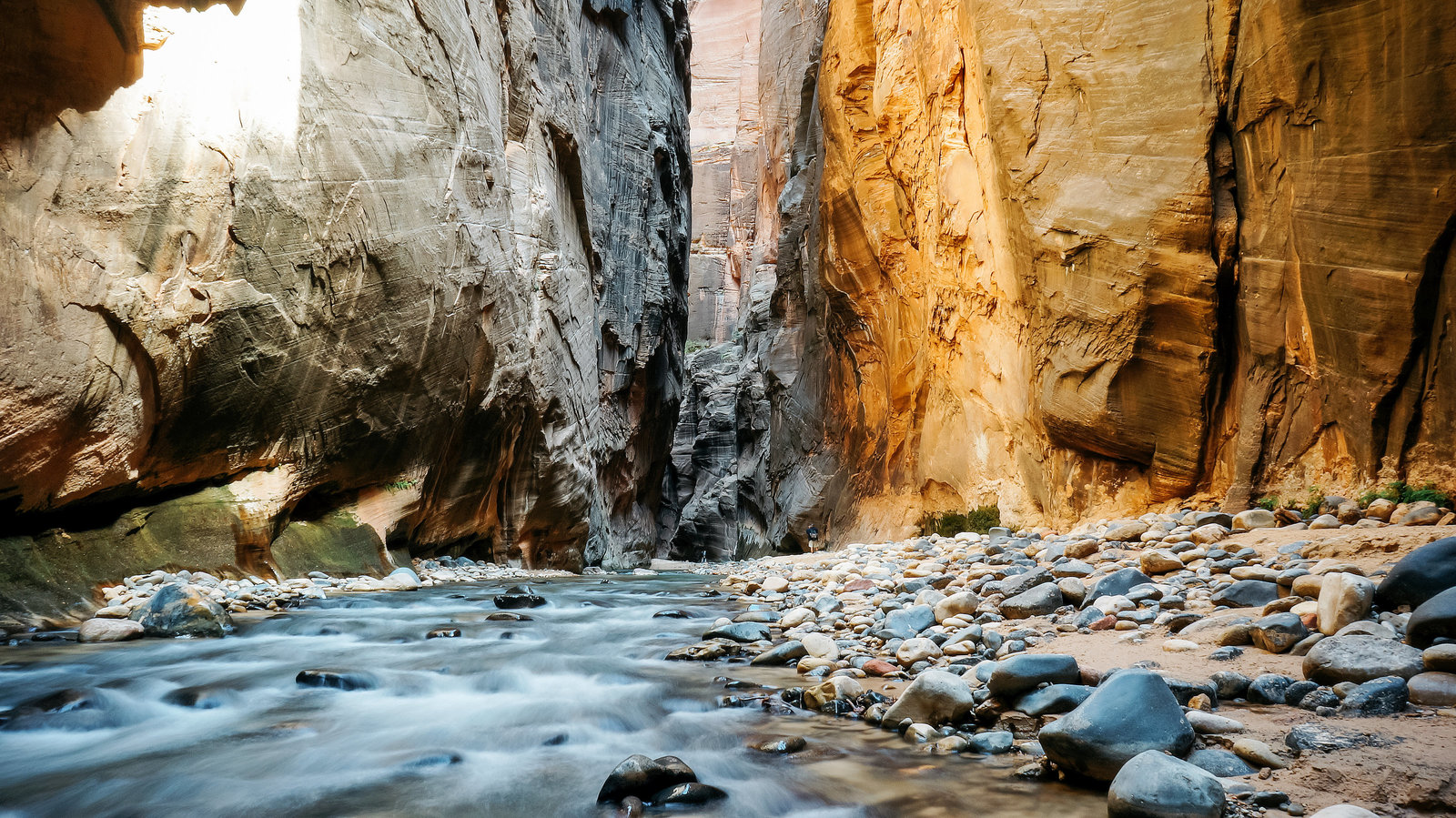 Sasha_Reiko_Photography_Travel_Utah_Arches_Canyon_Lands_Zion_Grand_Canyon-59