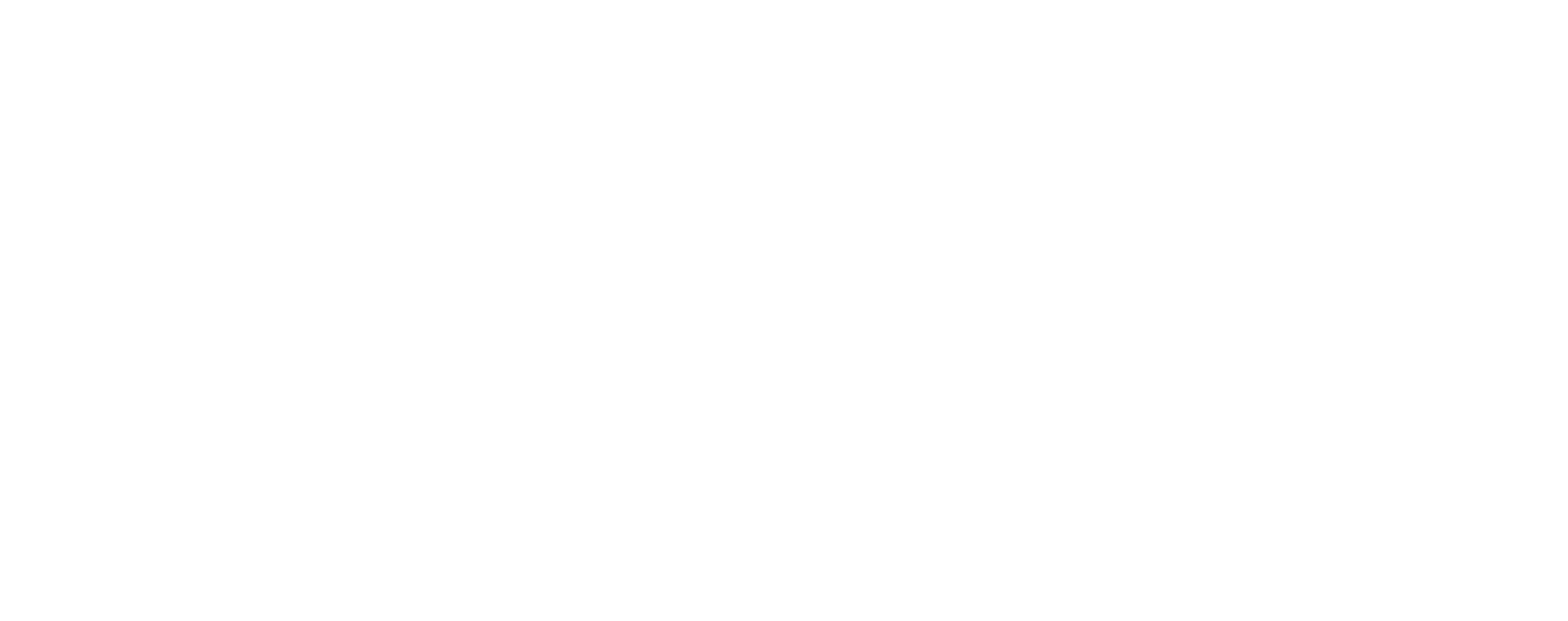 new-georgia-project