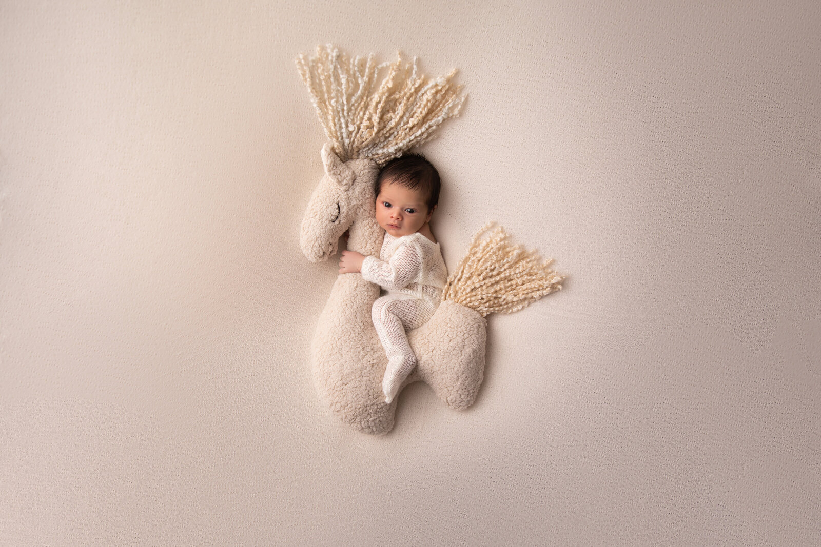 newborn photography with a baby sitting on a horse