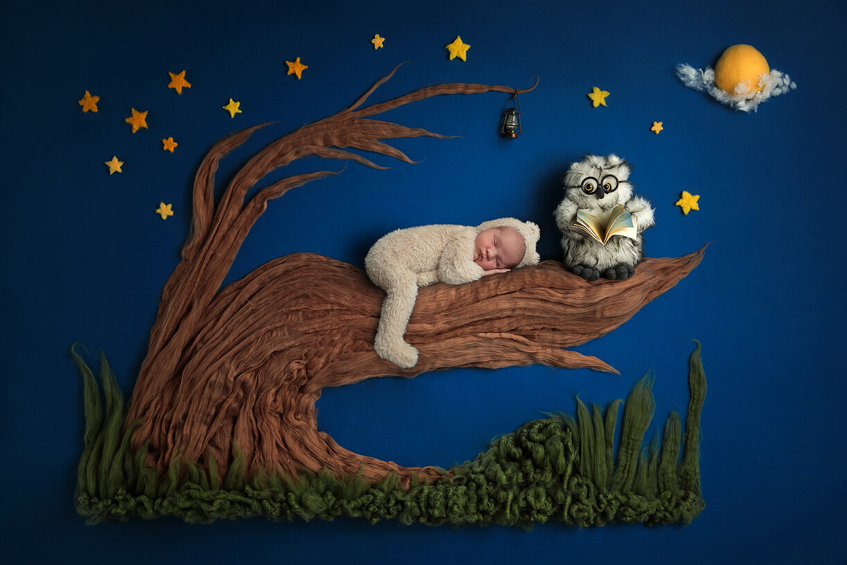 Newborn baby posed on tree with owl.