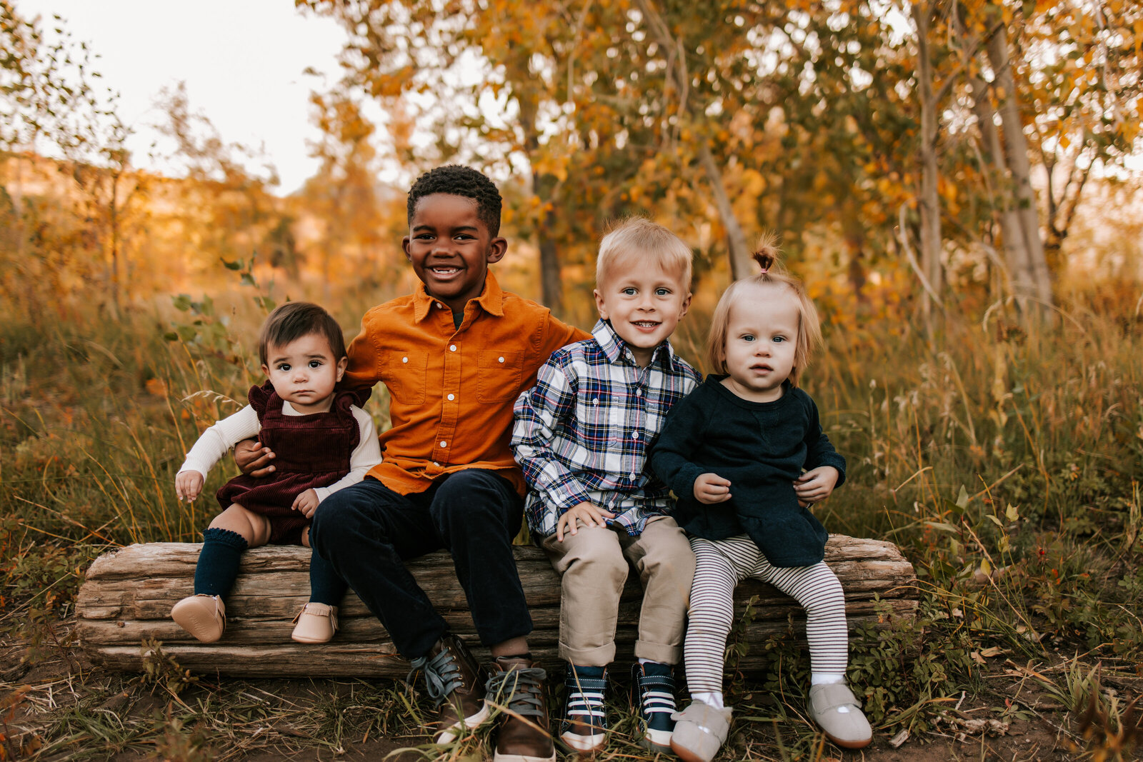 group of kids sitting on a tree log during goldne hour for family photos