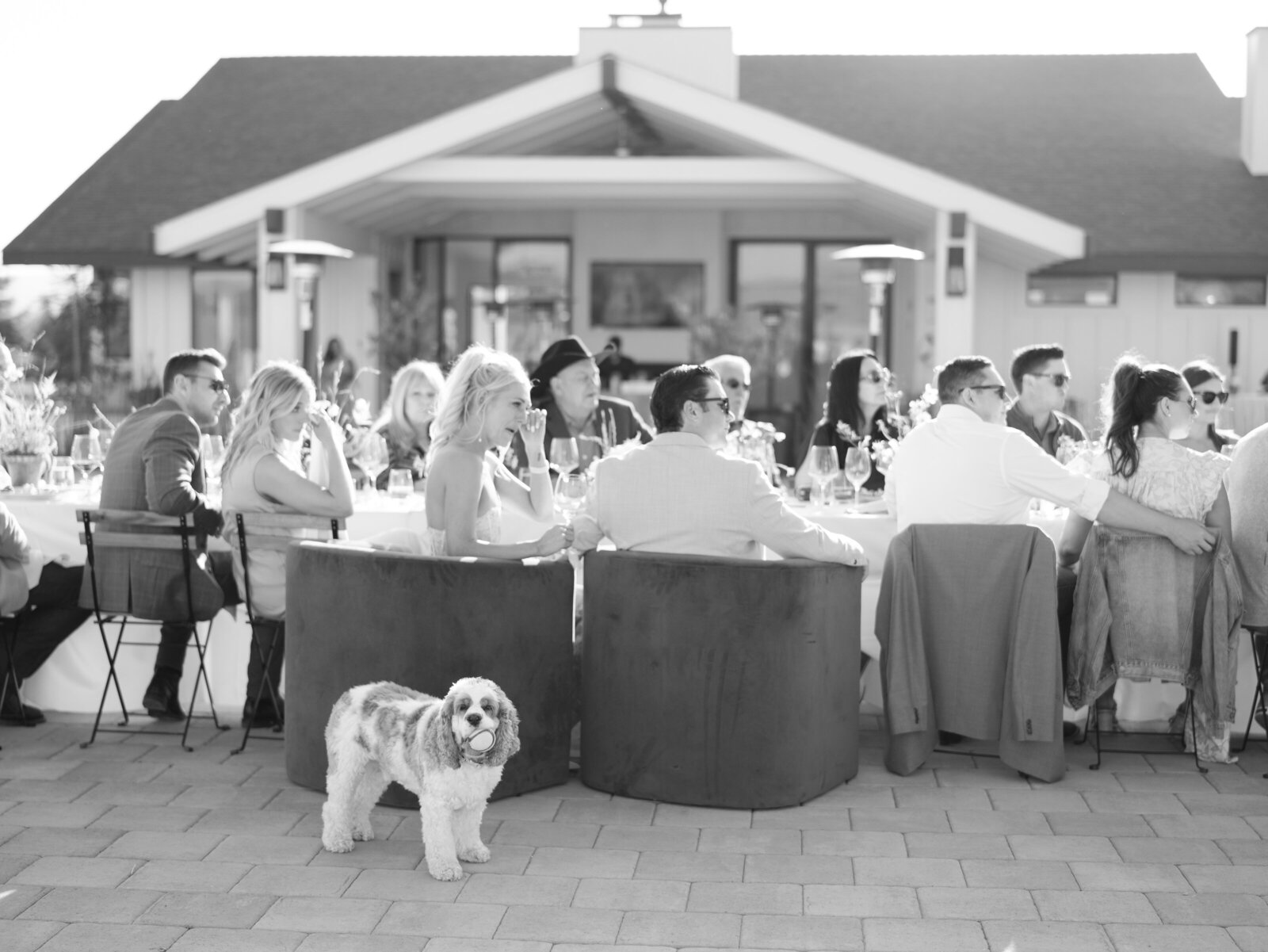 untitled-02474-Copy1