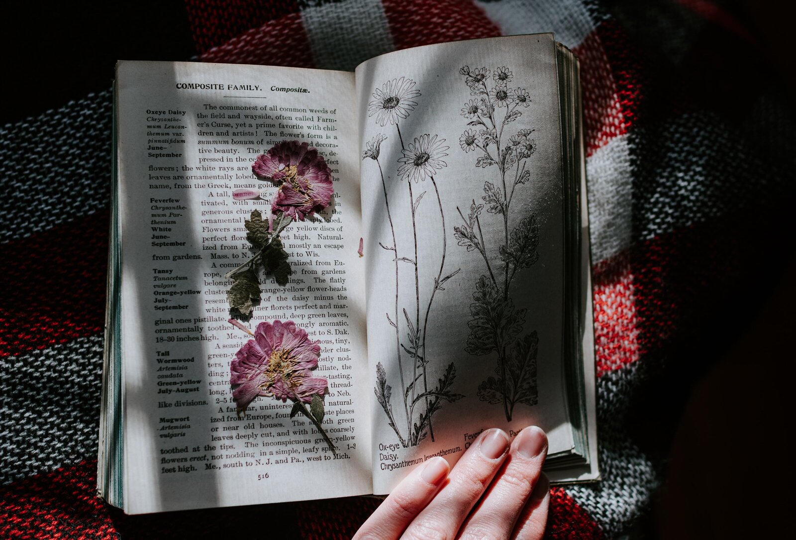 kelly-sikkema-W98pobBsBPY-unsplash