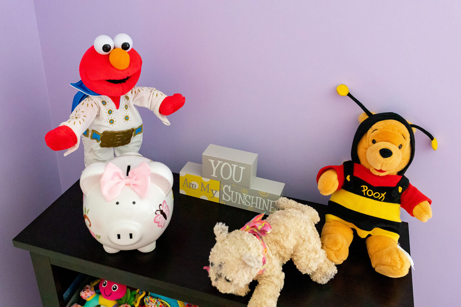 A bookshelf with stuffed animals on it in a Manassas newborn nursery.