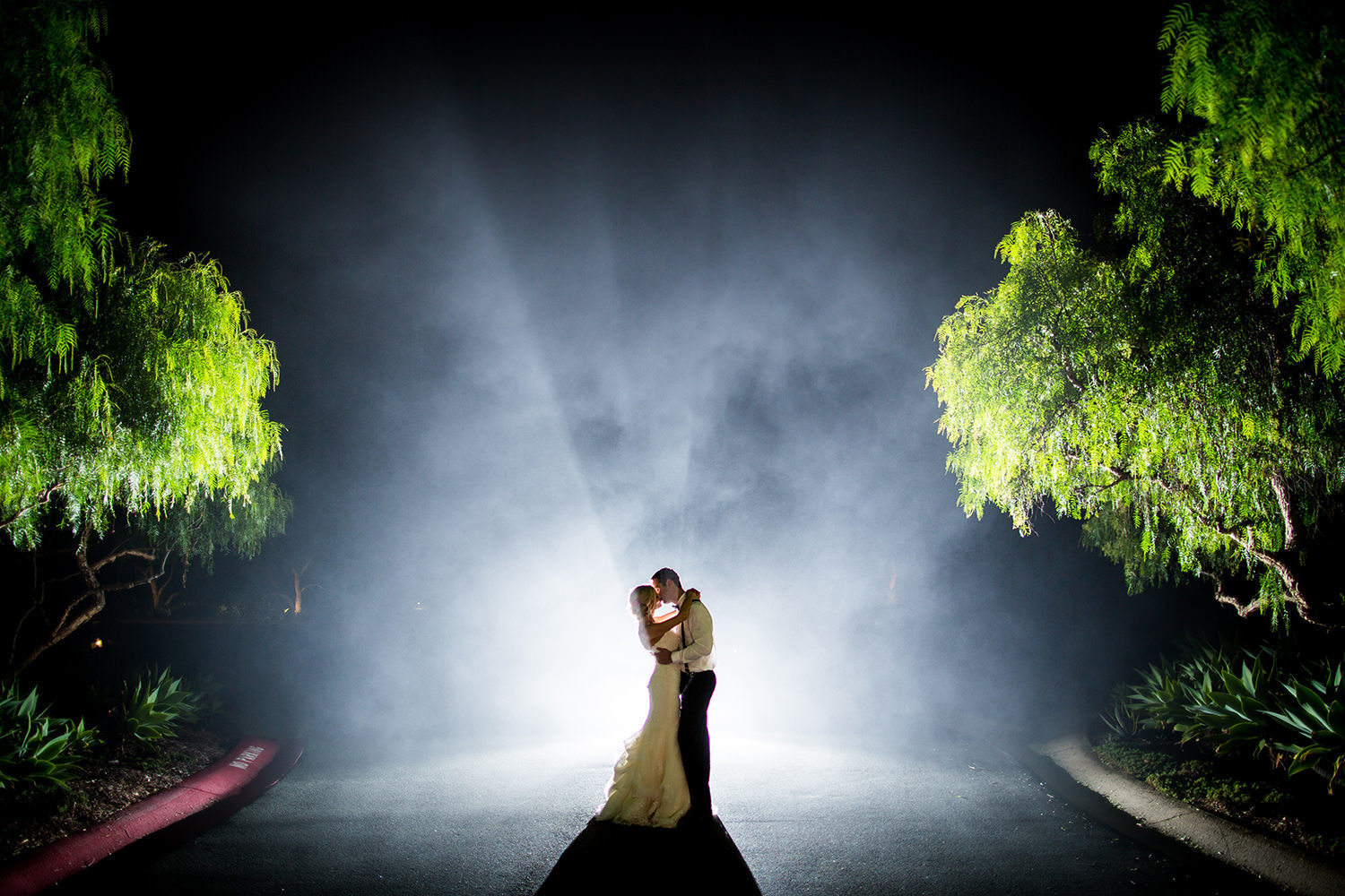 Foggy night time portrait of bride and groom