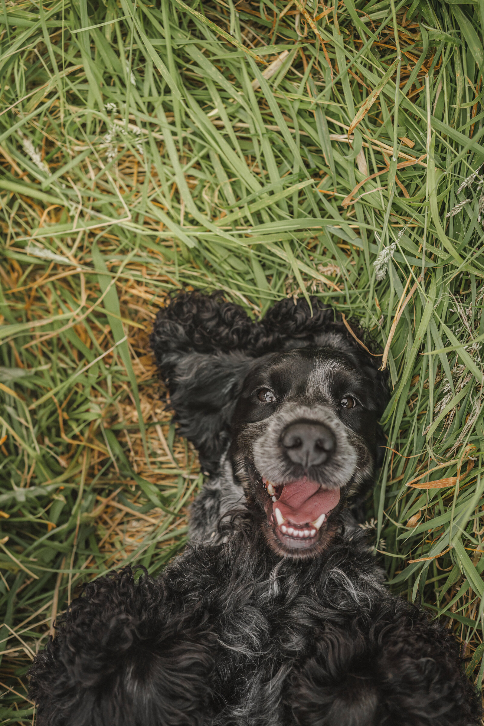 DSC07377 (Origineel, bewerkt)