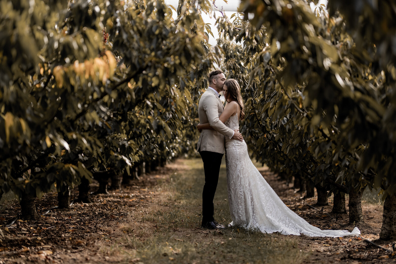 Emma-Brad-Rexvil-Photography-Adelaide-Wedding-Photographer (365 of 592)