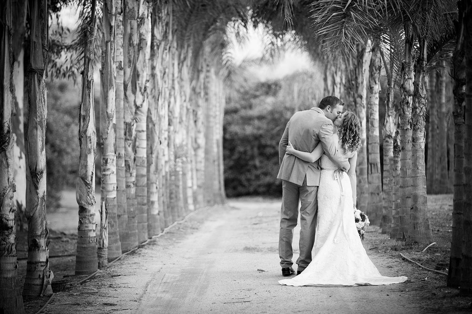black and white romantic shot by the palm trees