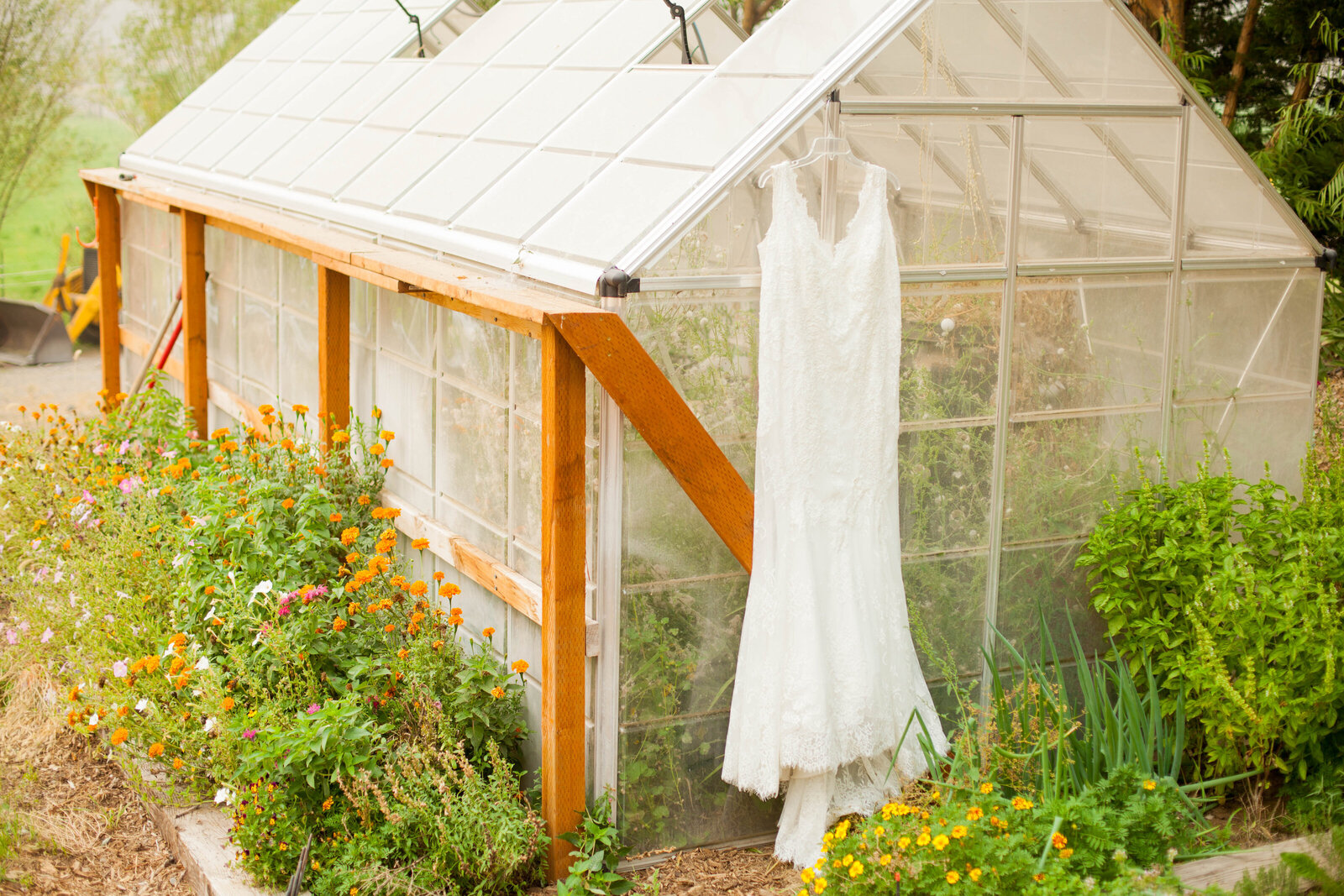 Dress on Greenhouse