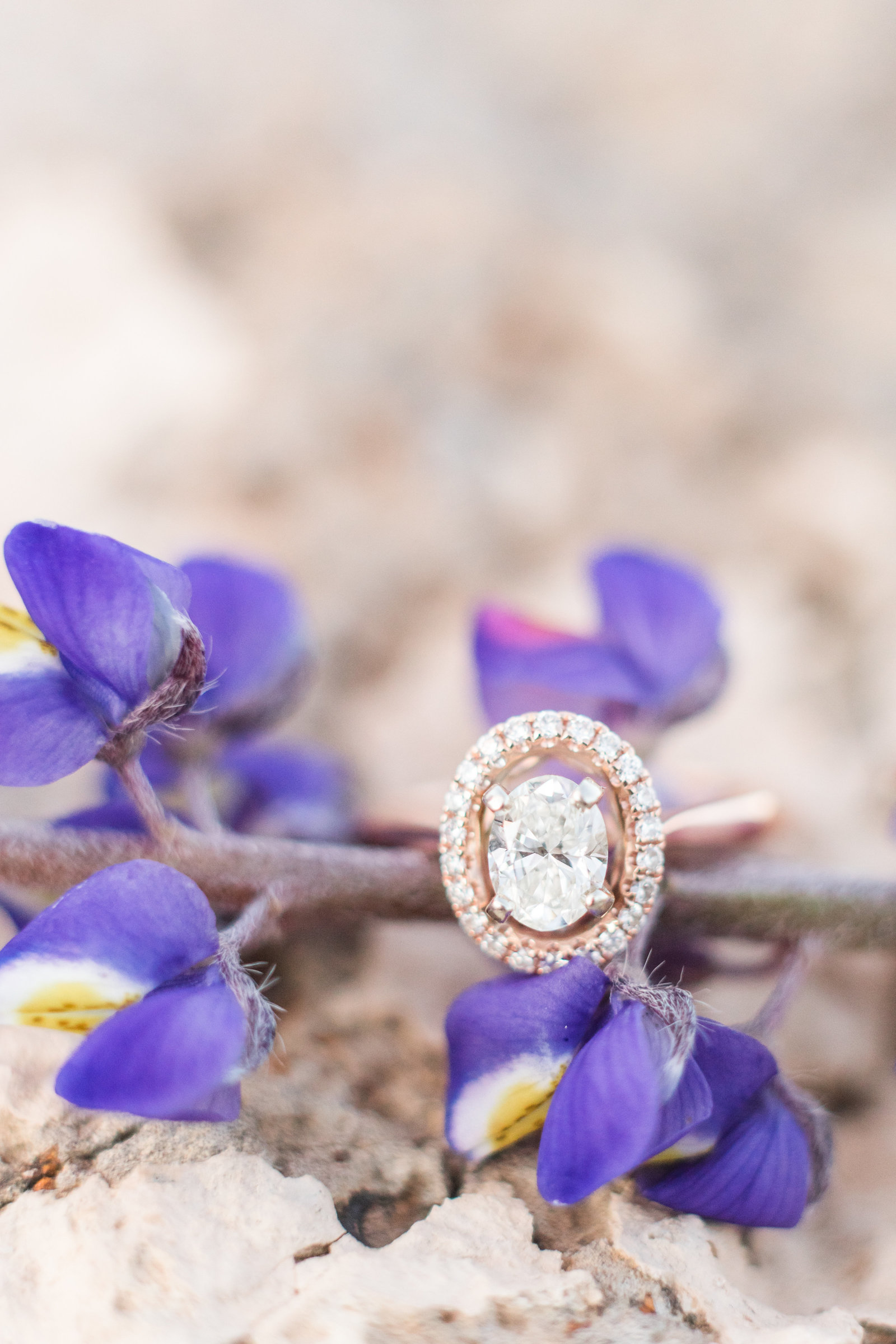 Halo ring on rock with purple flowers