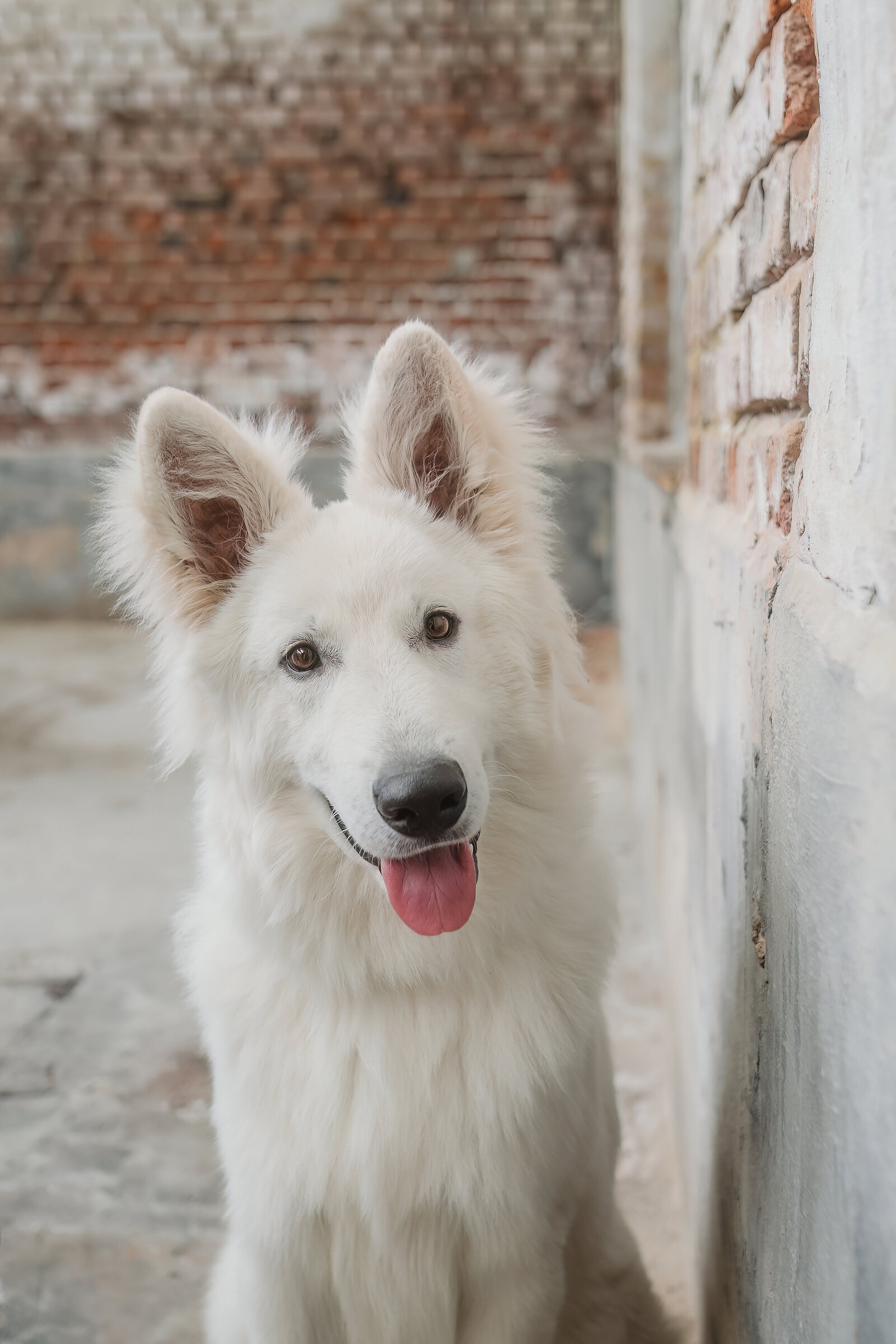 DSC03605 (Origineel, bewerkt)