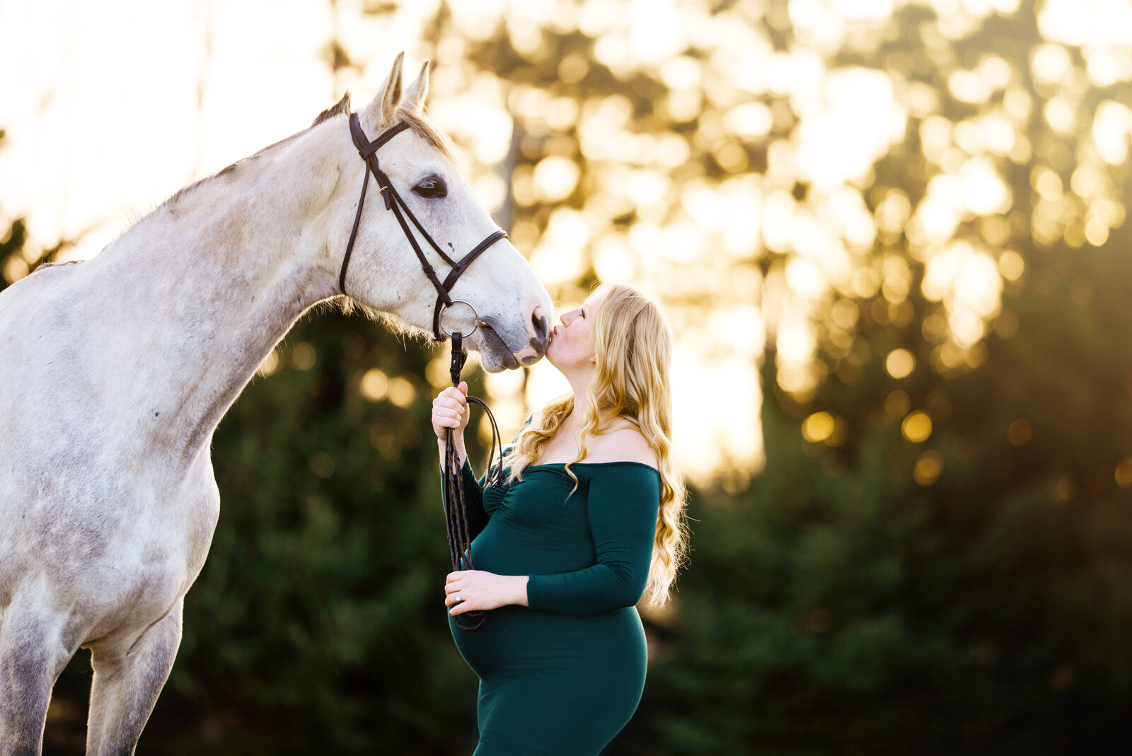 Knoxville TN Equestrian Photographer, Knoxville TN Equine Photographer, Knoxville TN Family Photographer, Farragut TN Equine Photographer, Farragut TN Equestrian Photographer, Farragut TN Photographer, Horses, Farragut TN Horses,  Knoxville TN Horses