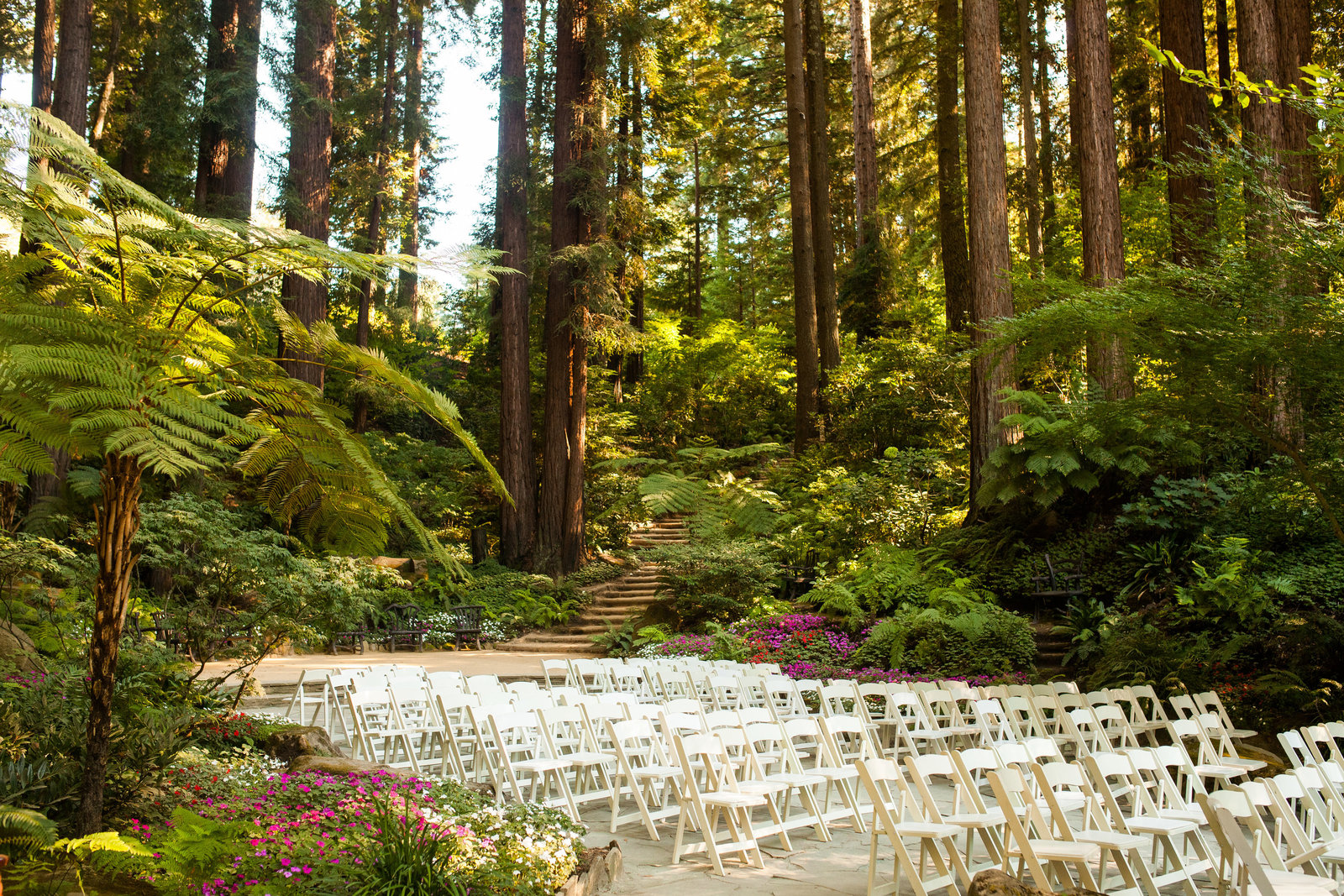 nestldown wedding forest los gatos california 10