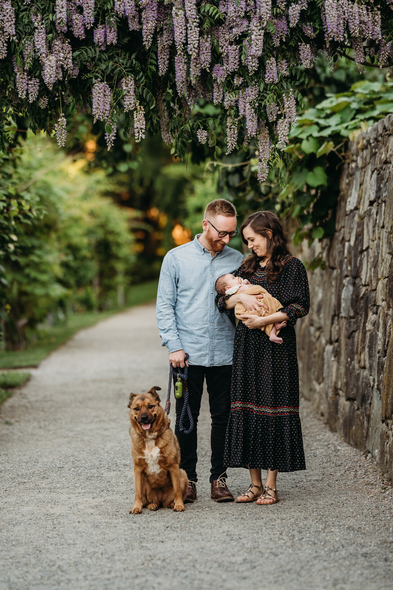 couple stands under lilacs with newborn and dog