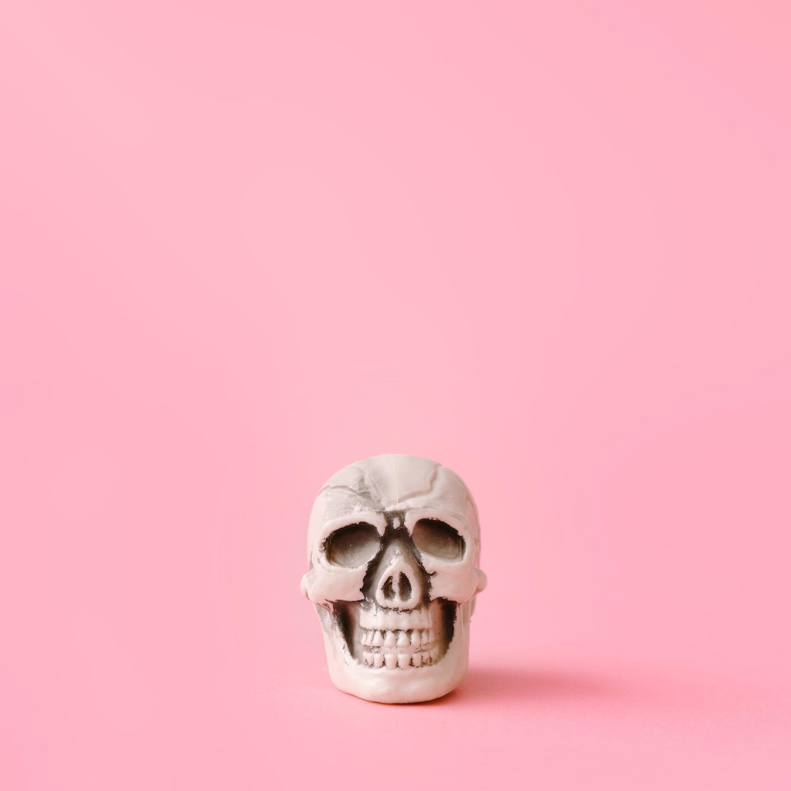 teeth skeleton pink