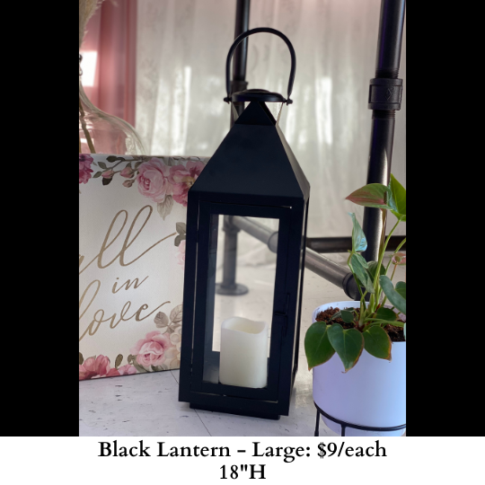 Black Lantern-Large-628