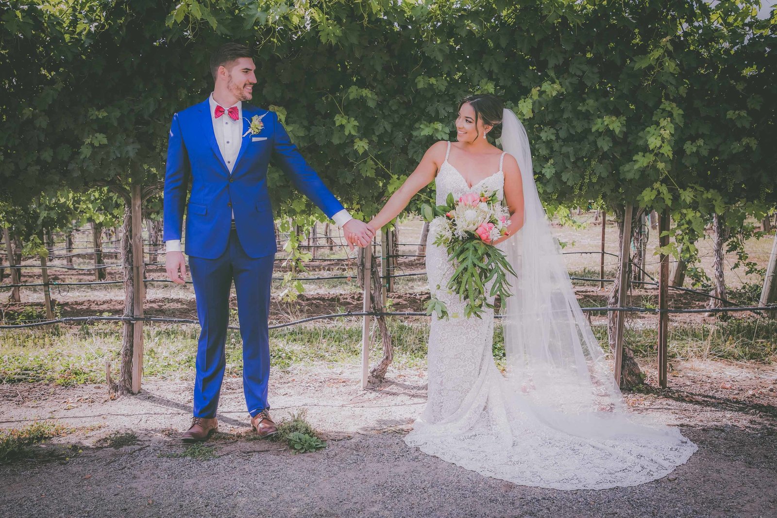 Groom and bride look and smile at each other while holding hands in California vineyard.