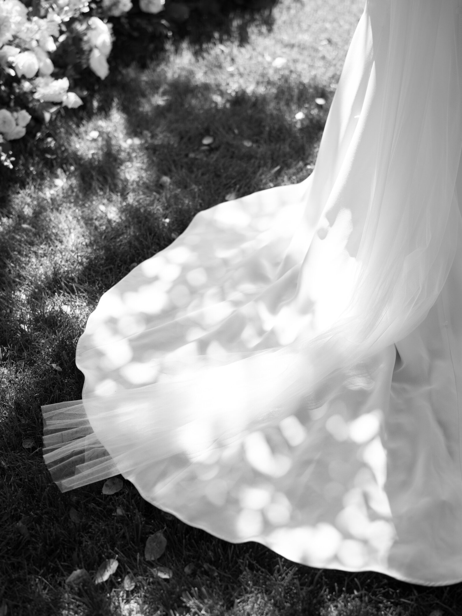 untitled-00335