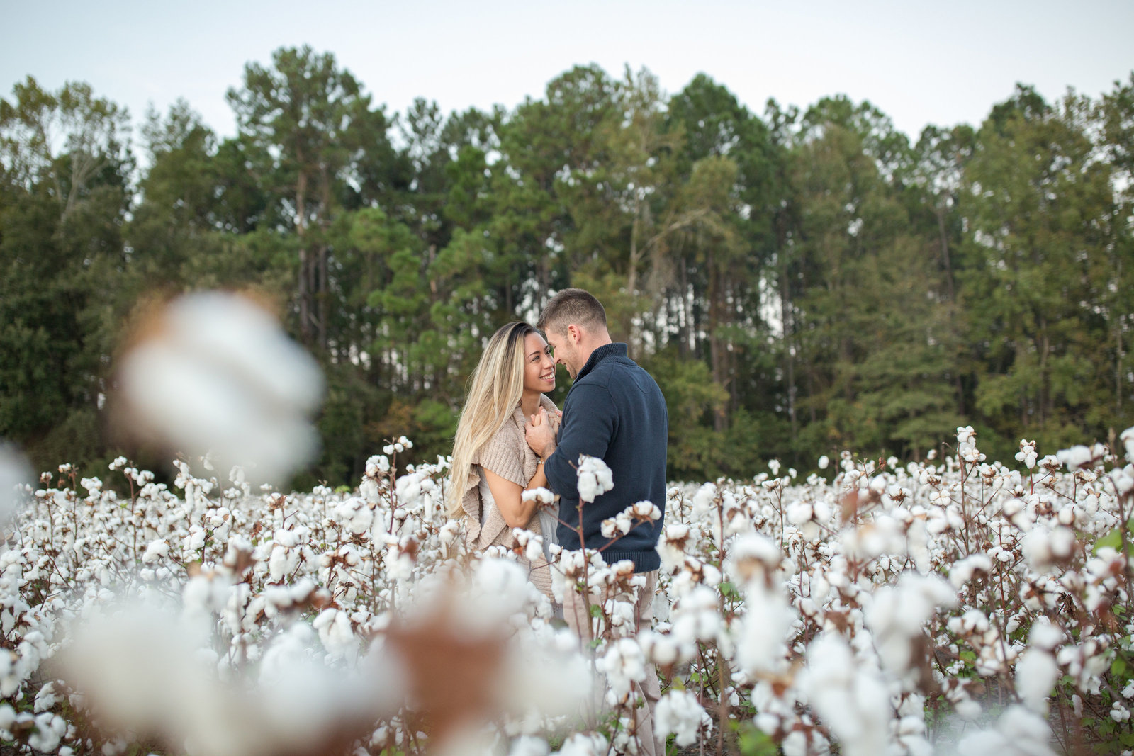 engaged couple in cotton field