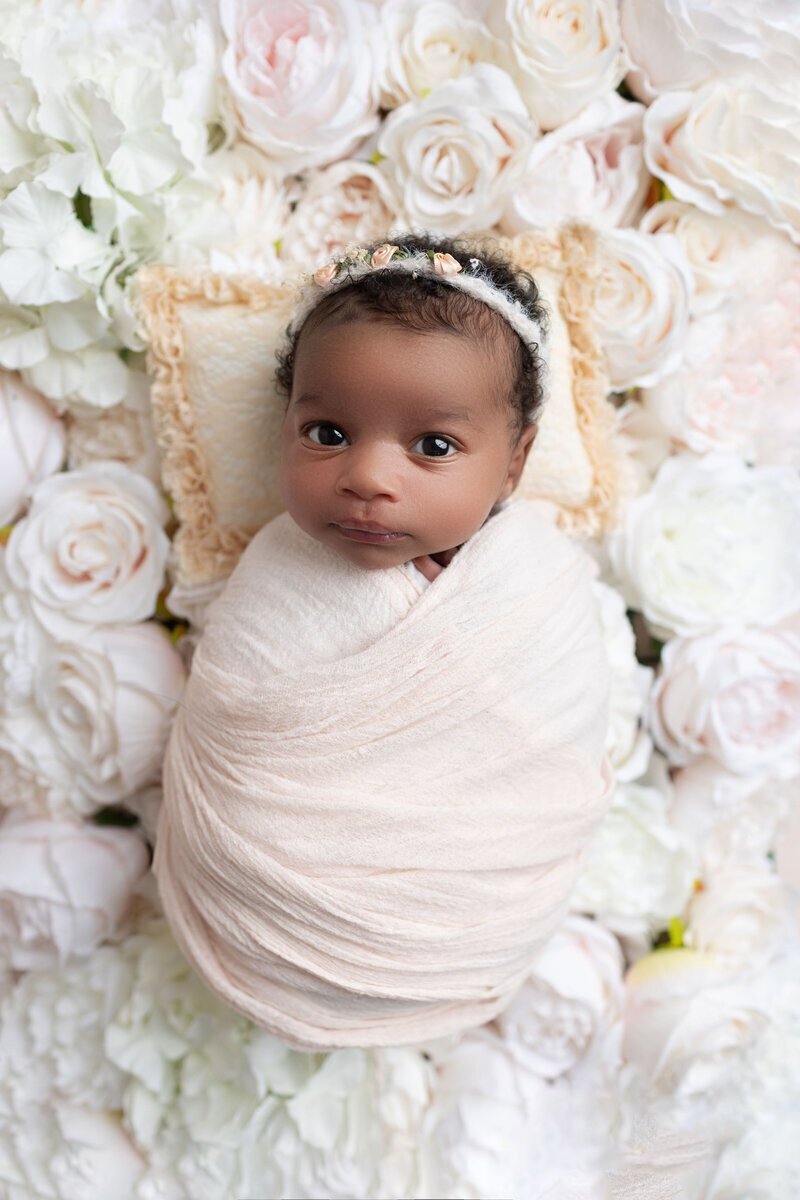 newborn baby laying in flowers by nj newborn photographer