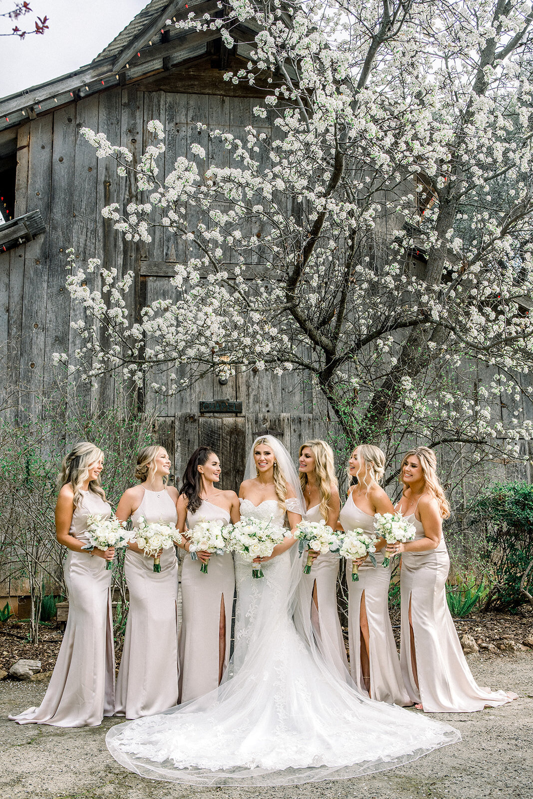 Bride and Bridesmaids at Union Hill Wedding, California