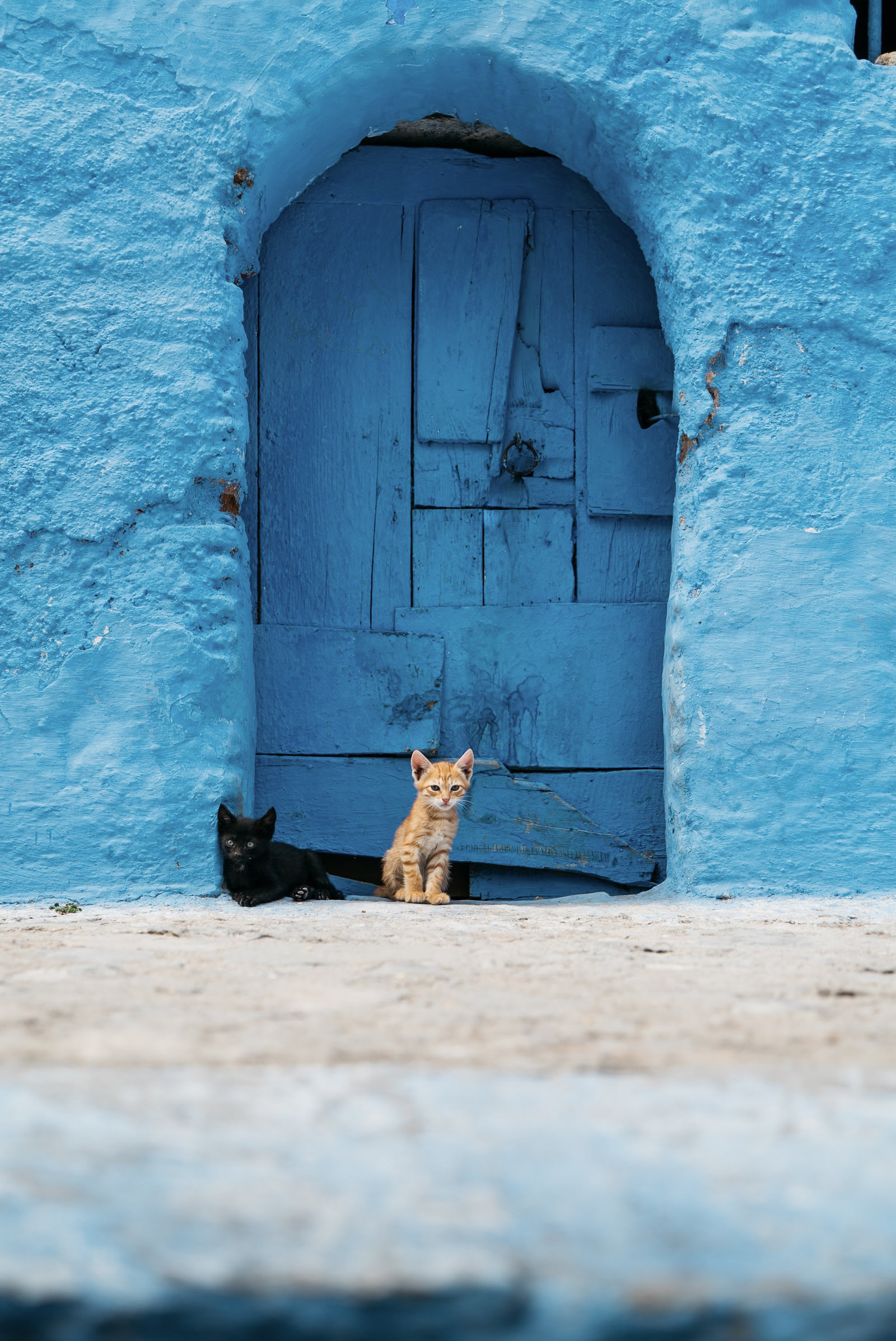 Sasha_Reiko_Photography_Travel_Morocco-75