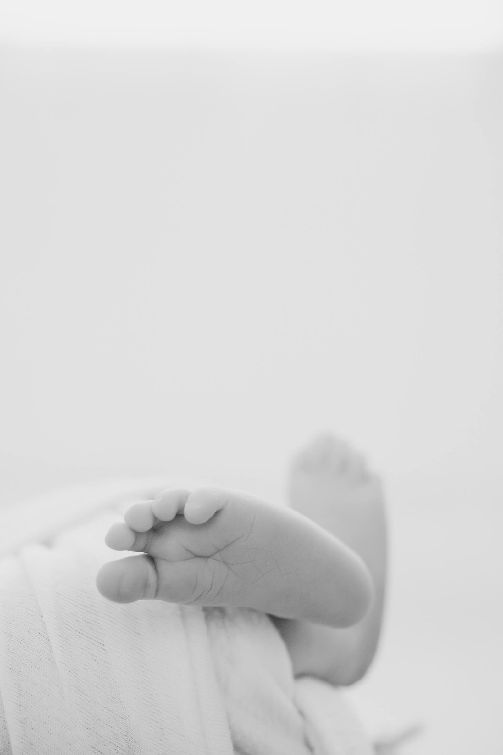 baby feet photography gilbert