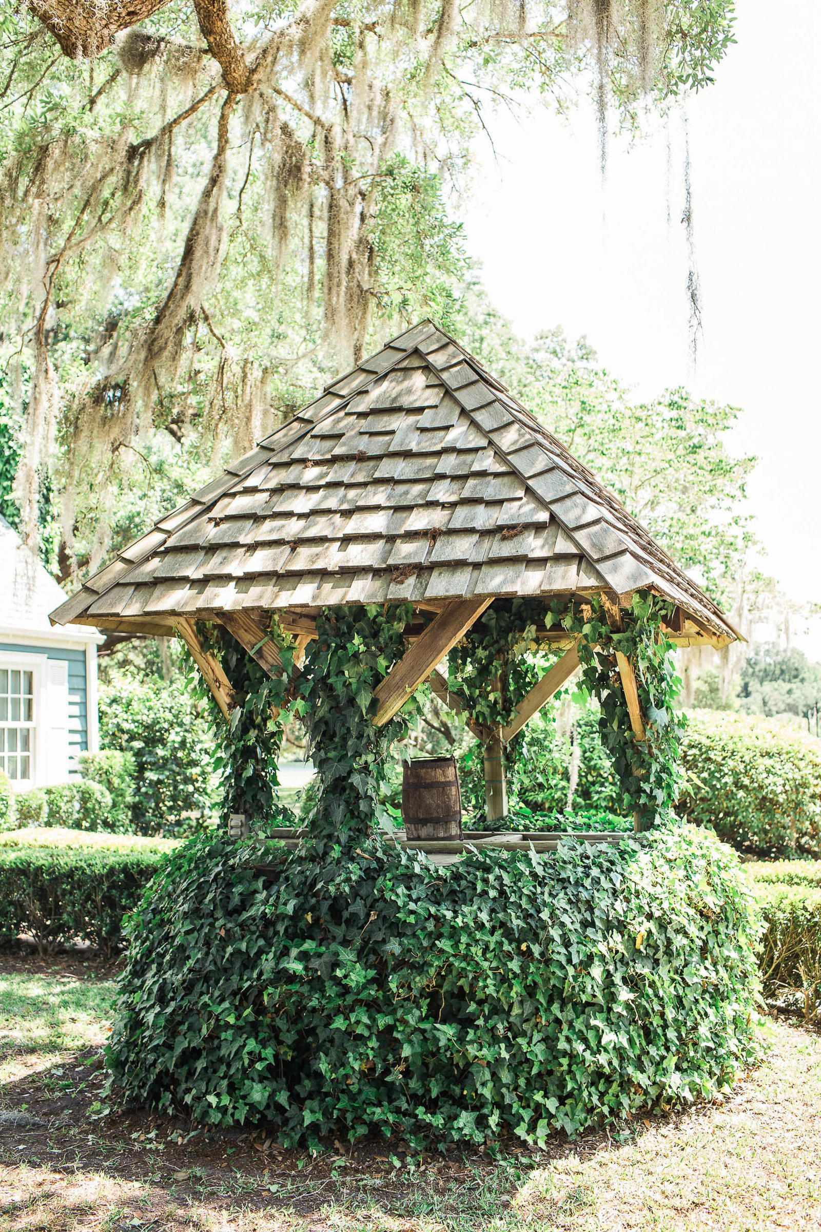 Ivy covered well sits under an oak tree, Oakland Plantation, Mt Pleasant, South Carolina