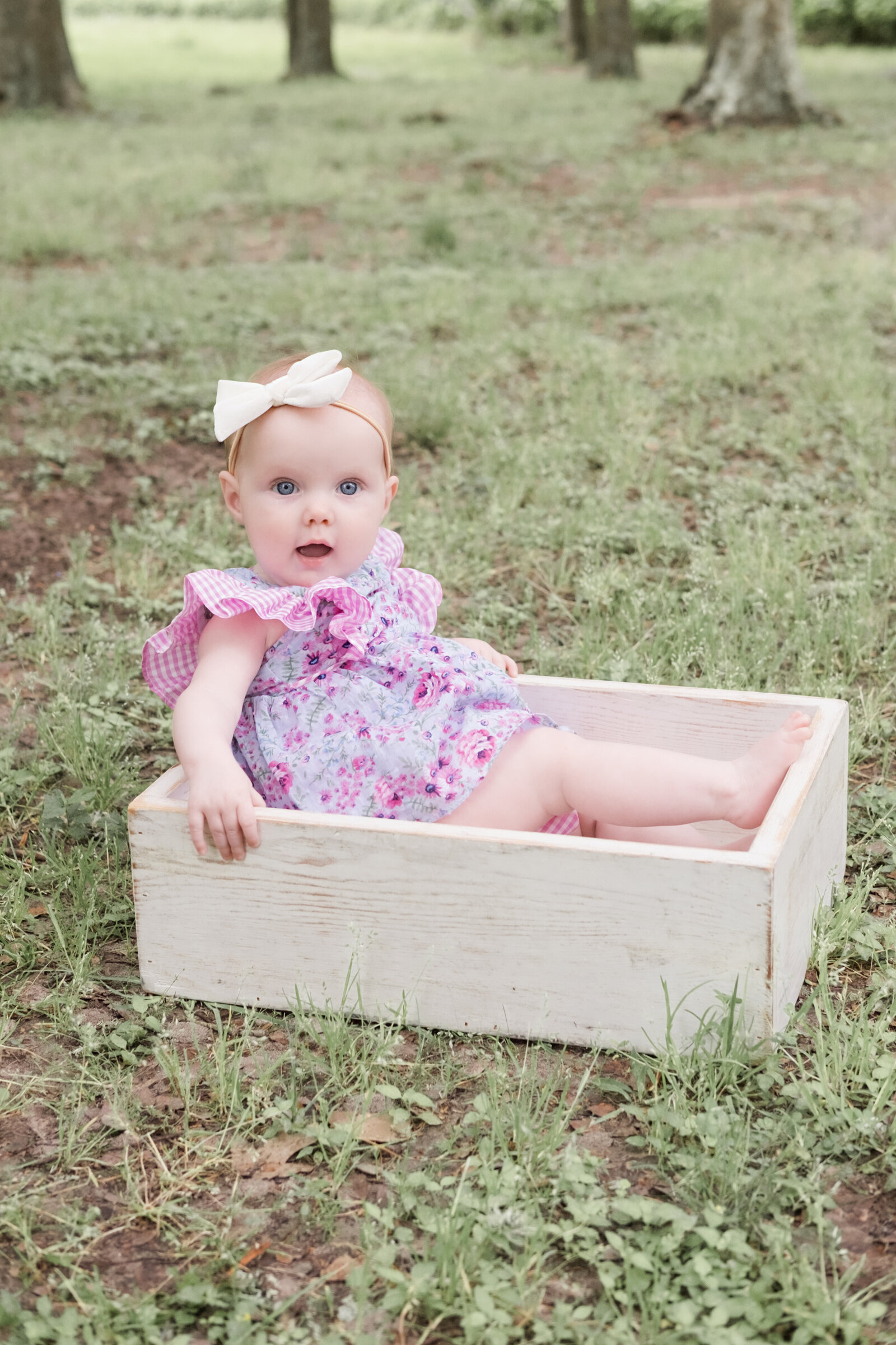 Houston Family Baby Photography Photographer