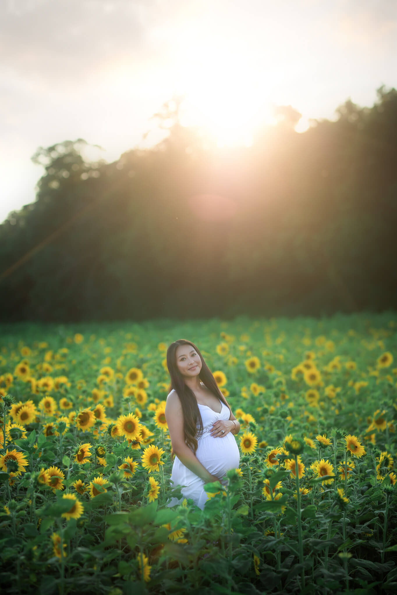 Milwaukee_Maternity_Photographyer_Sunflowers (6)