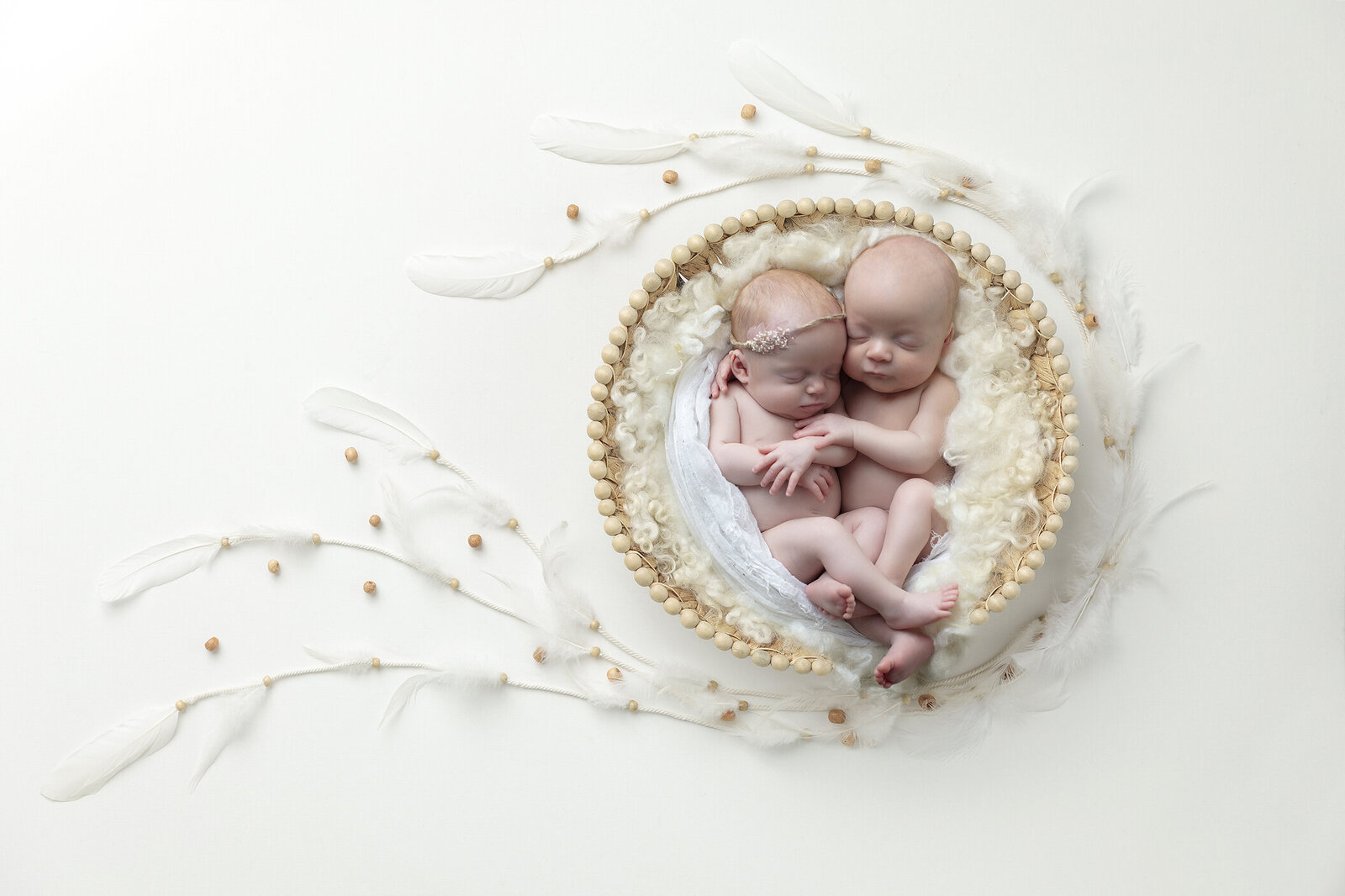 Newborn twins in basket