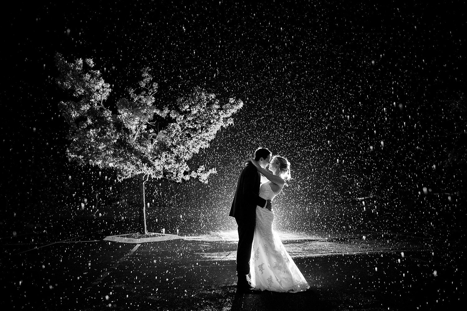 Karl Strauss wedding photos gorgeous rain