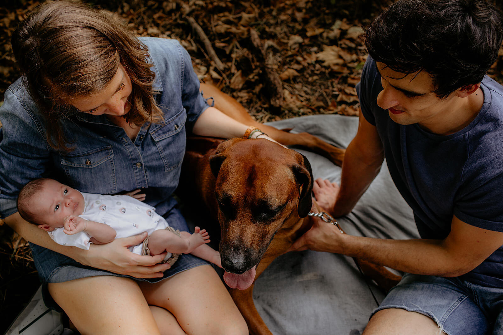 Het hele gezin op de foto, newborn en hond erbij.