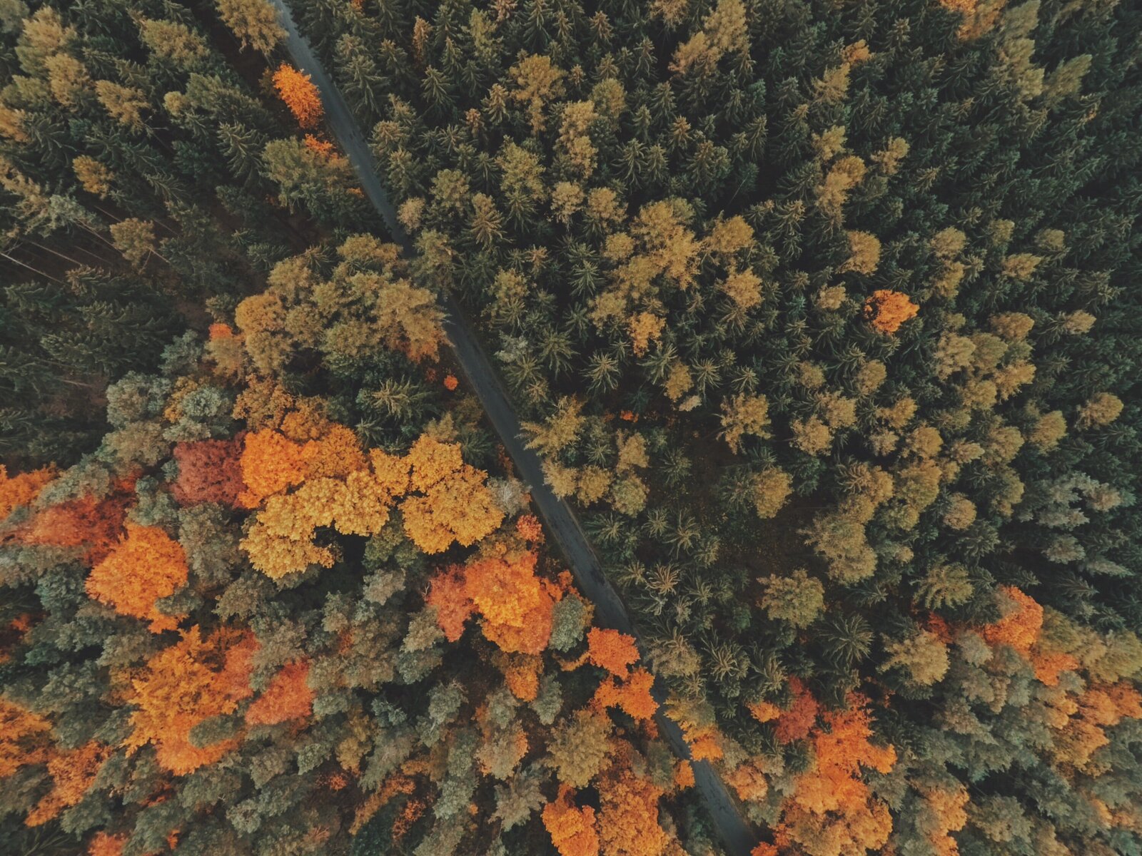 jakub-sejkora-utqJcneoFjo-unsplash
