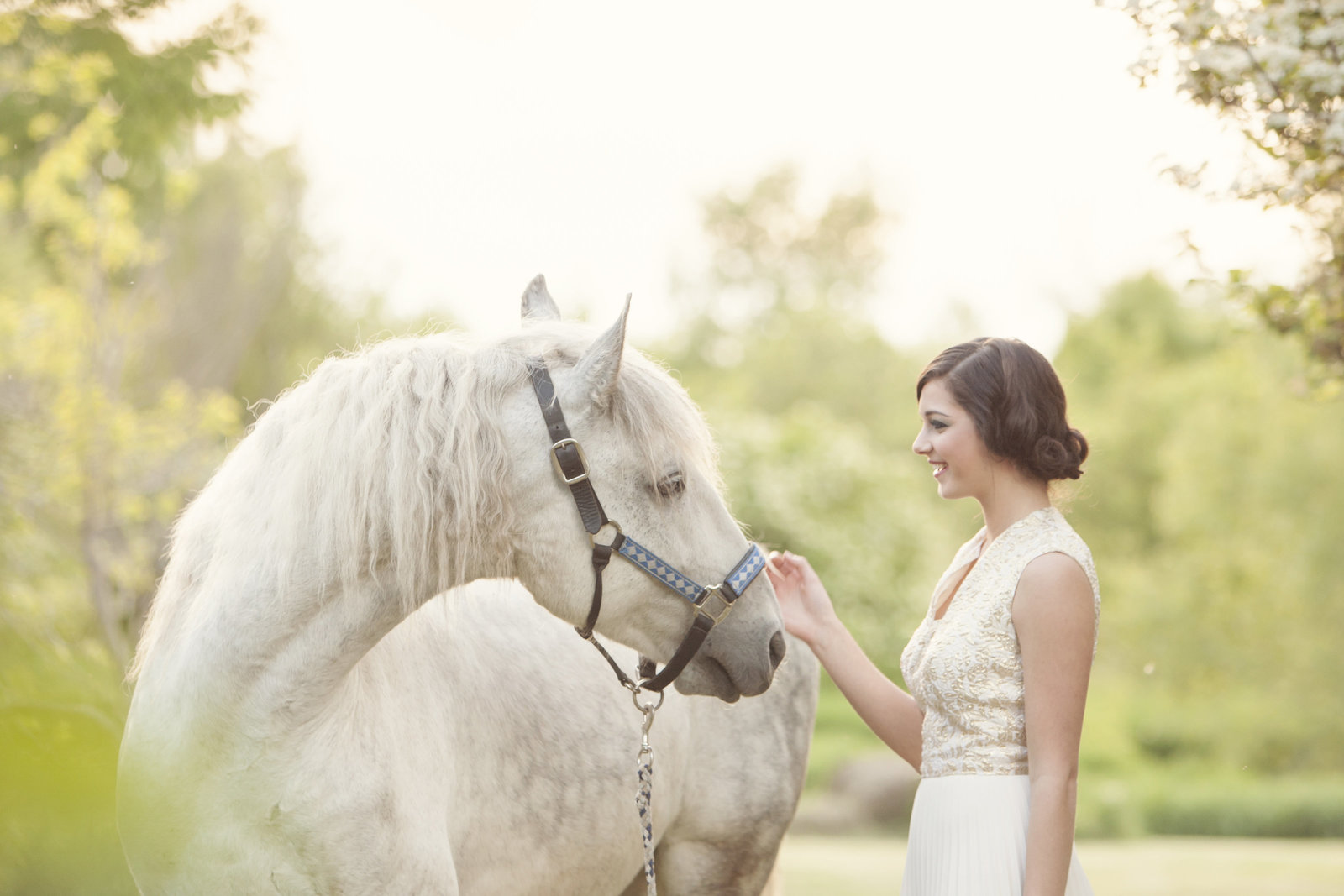 equestrian wedding photographer