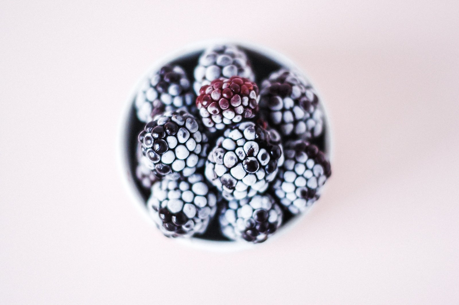 makhmutova-dina-1053989-unsplash