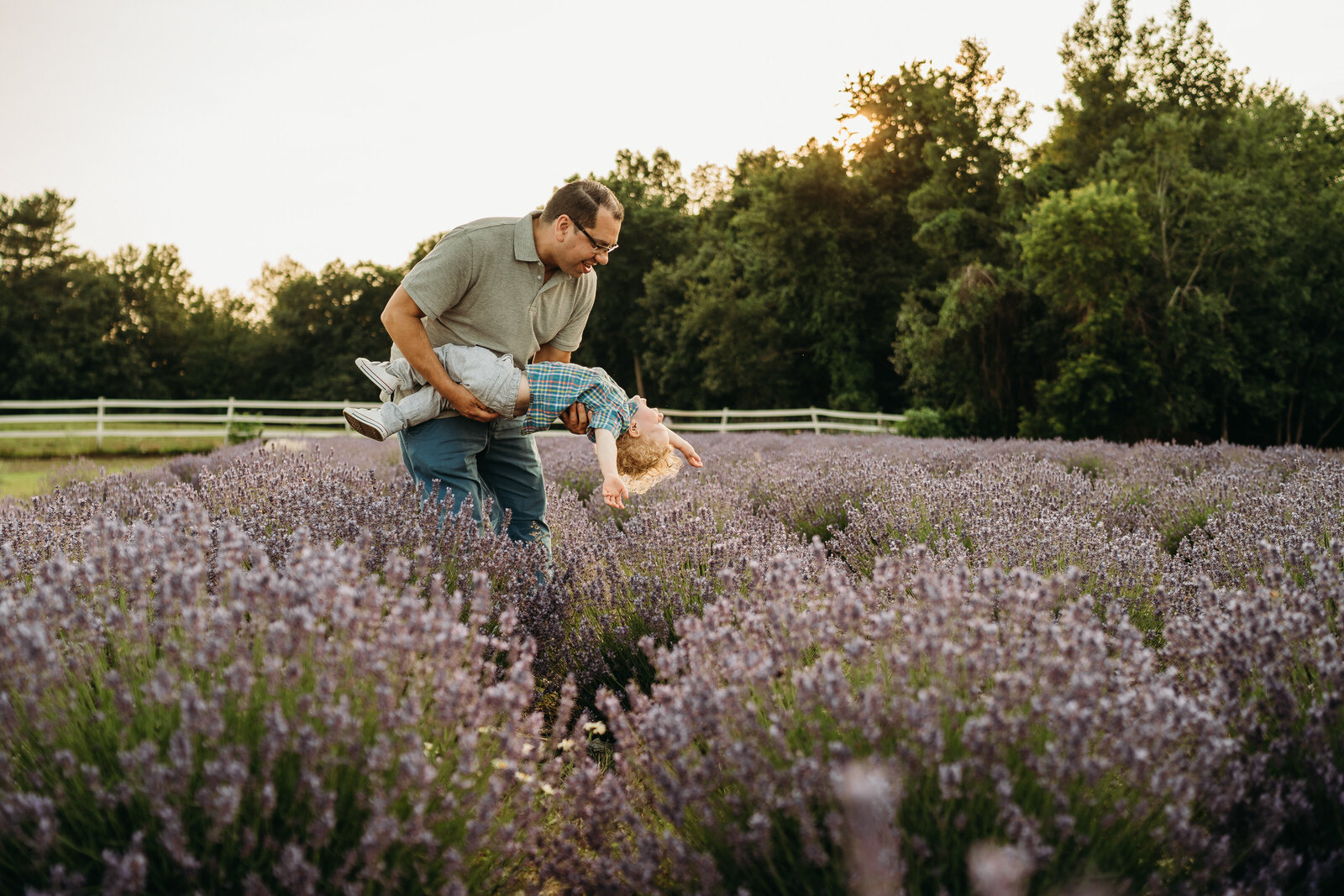 father dips toddler boy in lavender field at Boston farm