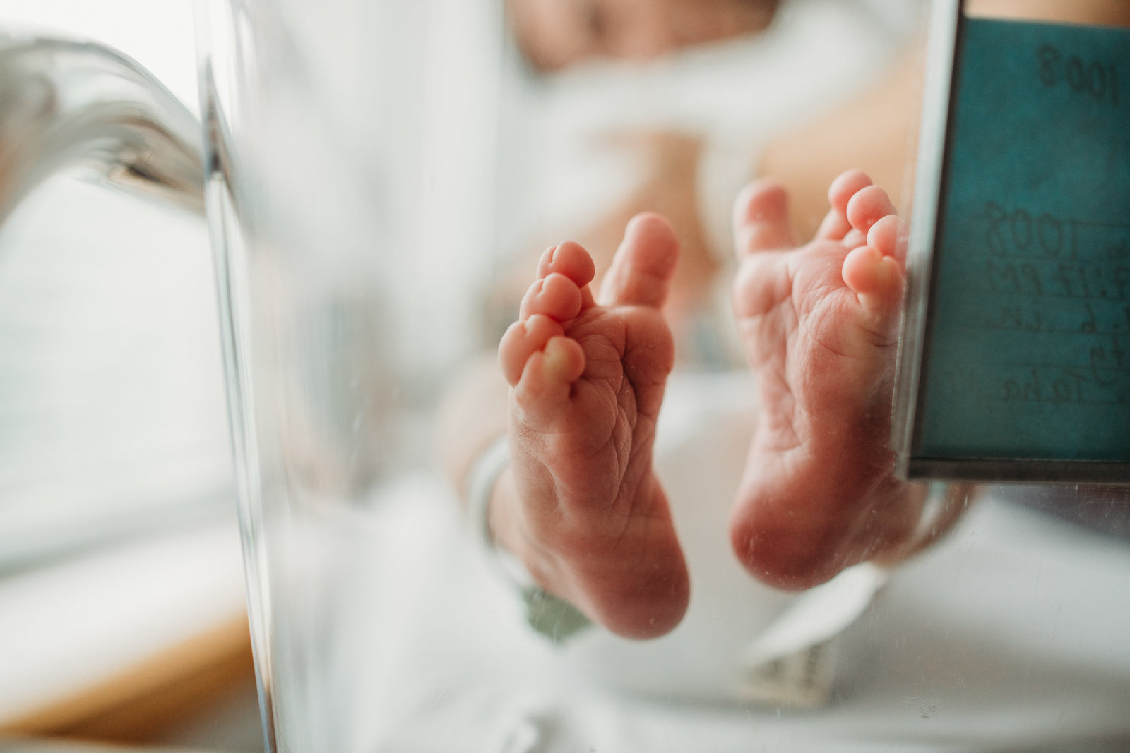 wrinkled baby feet in hospital bassinet in boston massachusetts