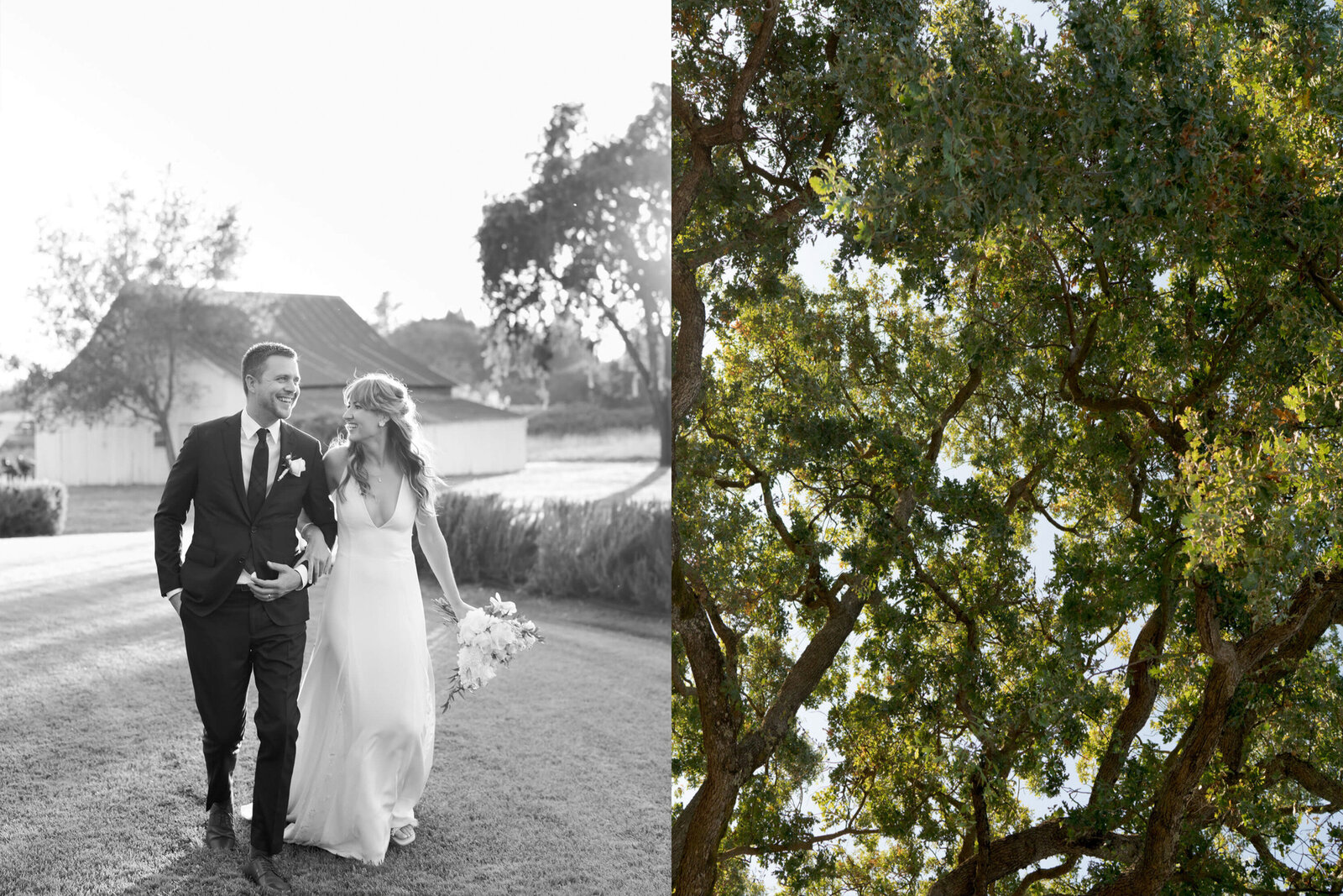 Courtyard wedding and sky up click of tree crowns.