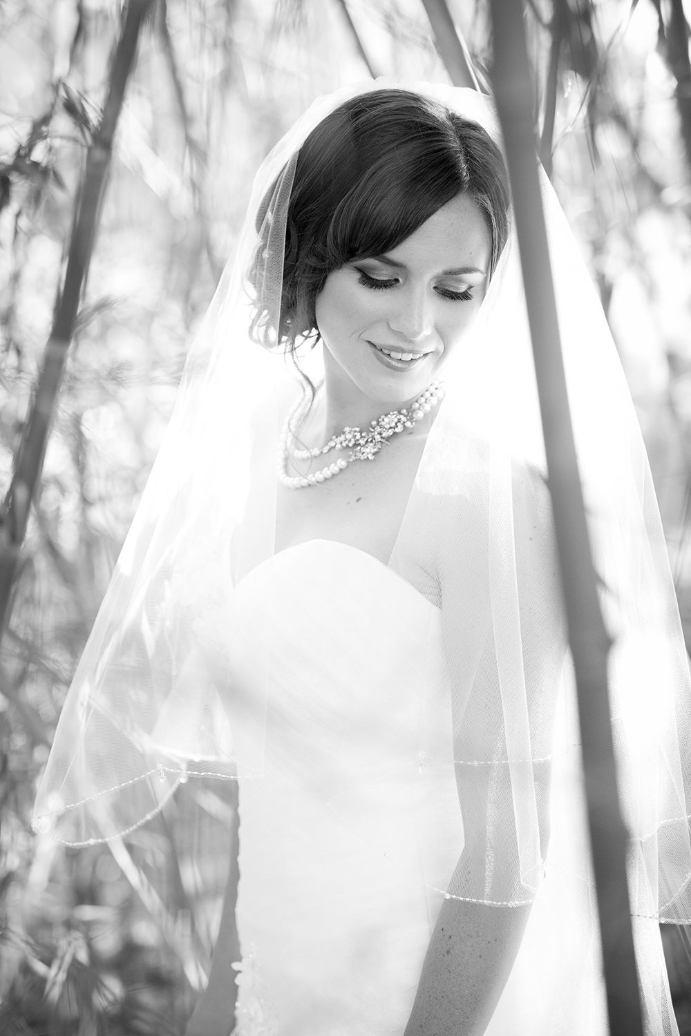 stunning black and white bridal picture