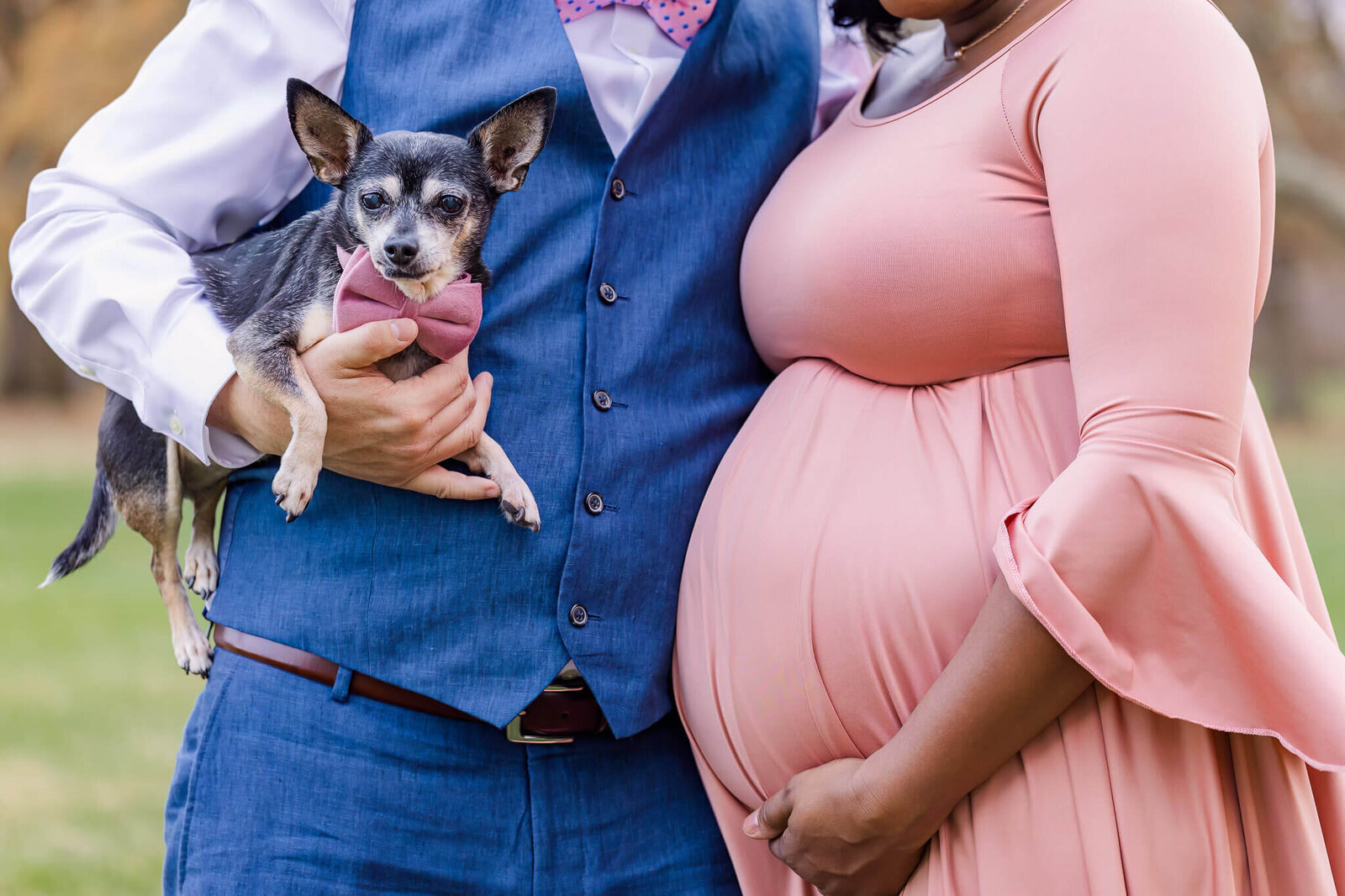 A close-up of a couple embracing a pregnant belly and their dog at Fort Hunt Park.