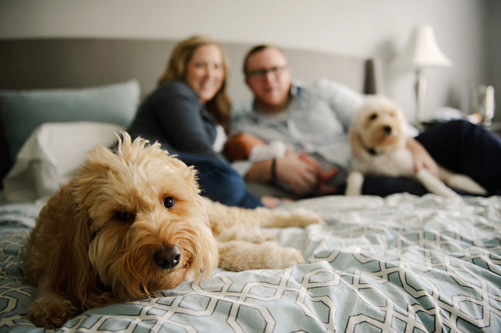 lifestyle family portrait with pets