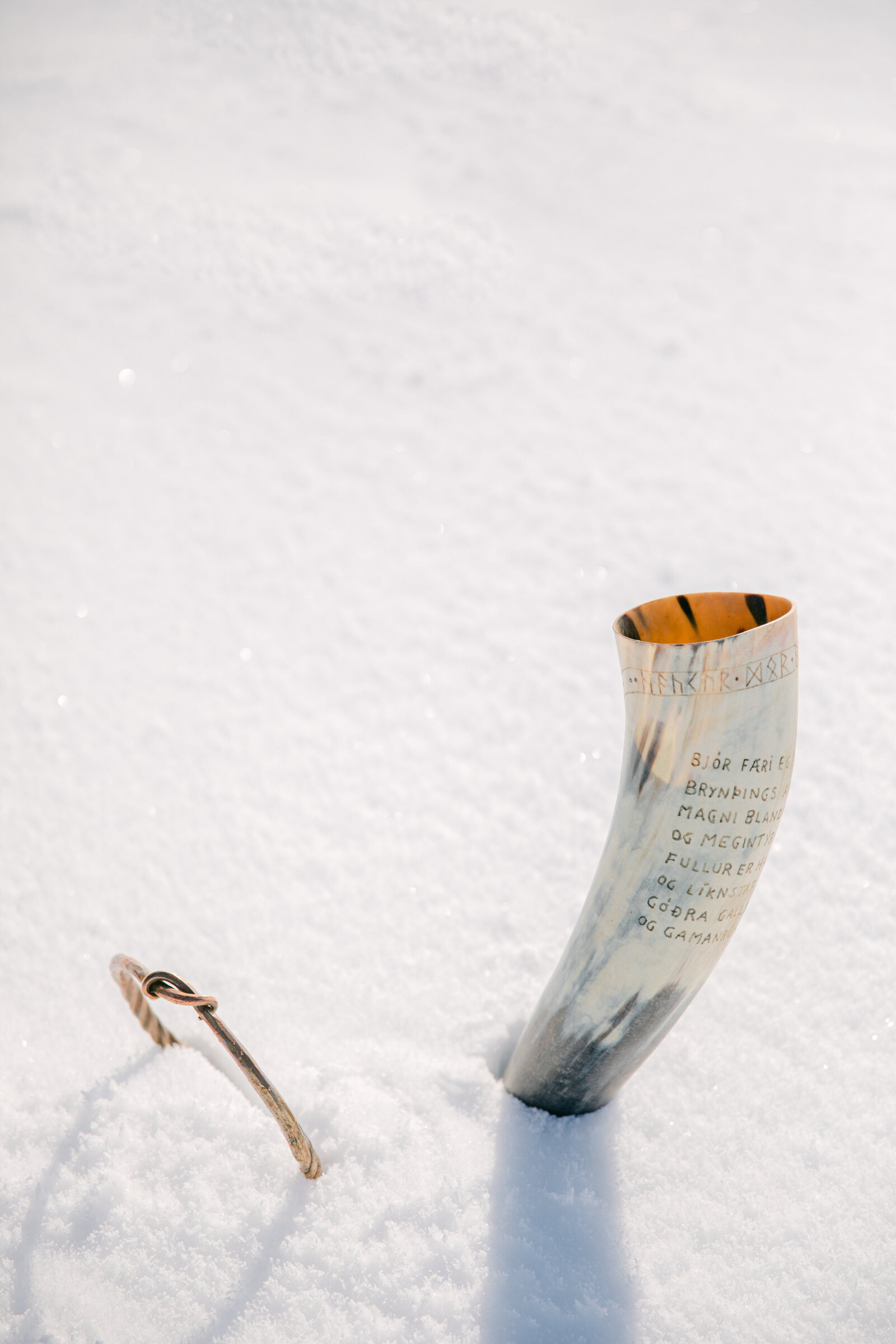 horn mug in the snow on a glacier in iceland